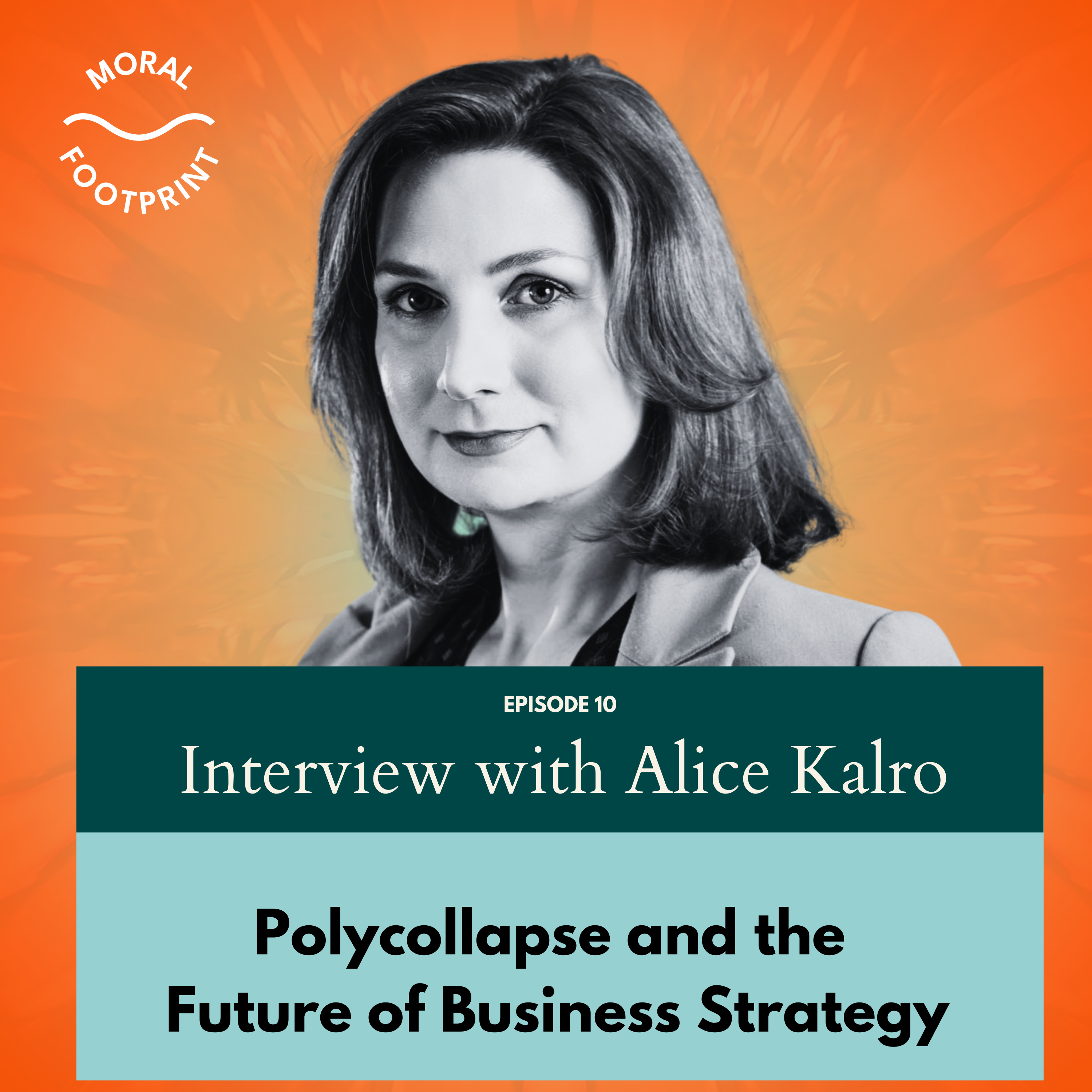 Polycollapse and the Future of Business Strategy | Alice Kalro