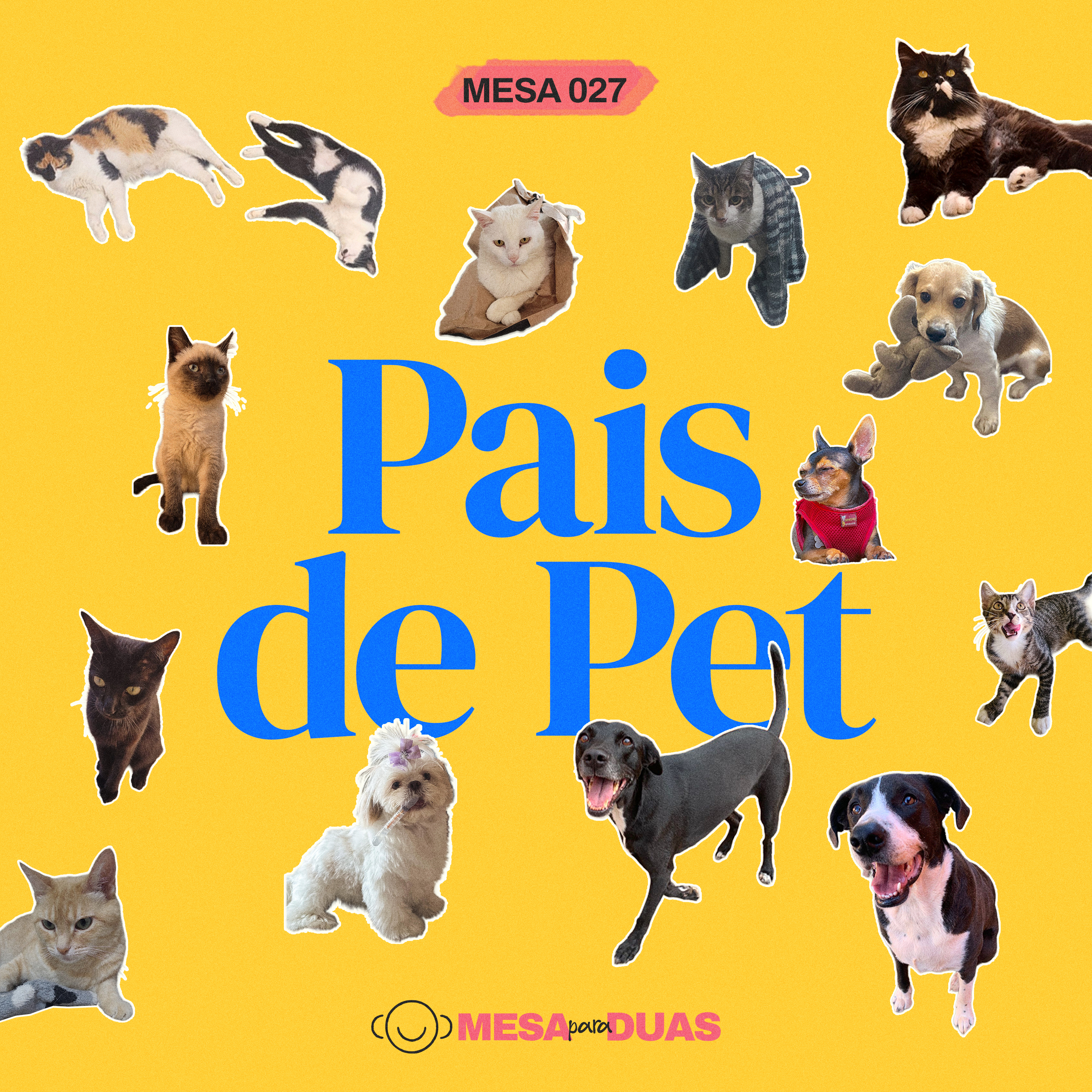 Mesa 27 | Pais de pet episode artwork