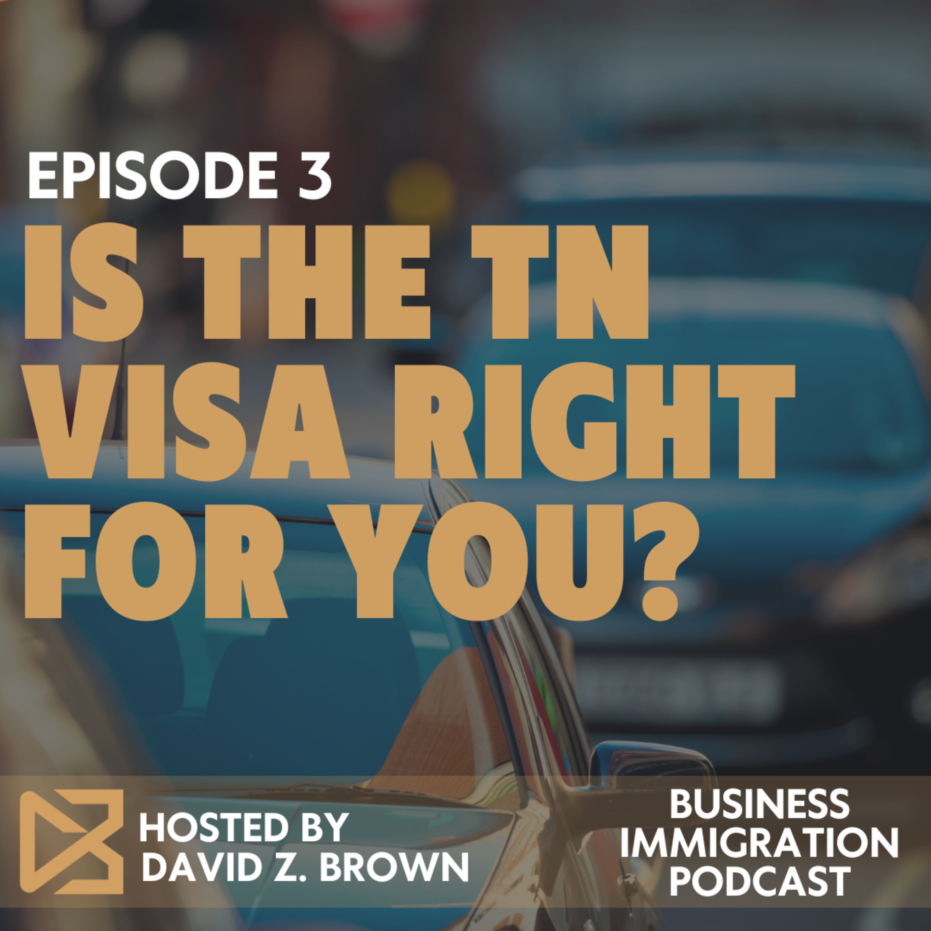 Is the TN Visa Right for You?