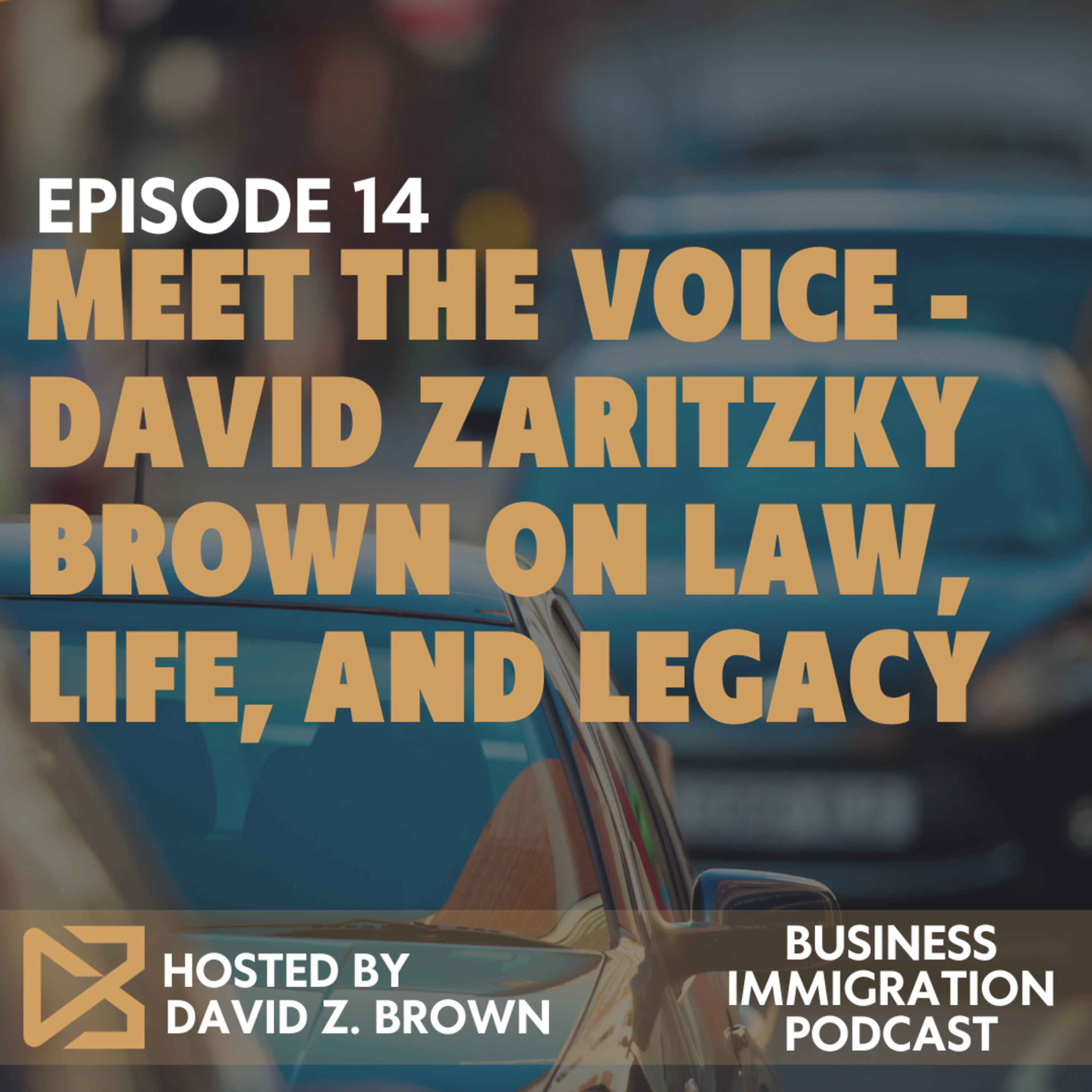 Meet the Voice - David Zaritzky Brown on Law, Life, and Legacy