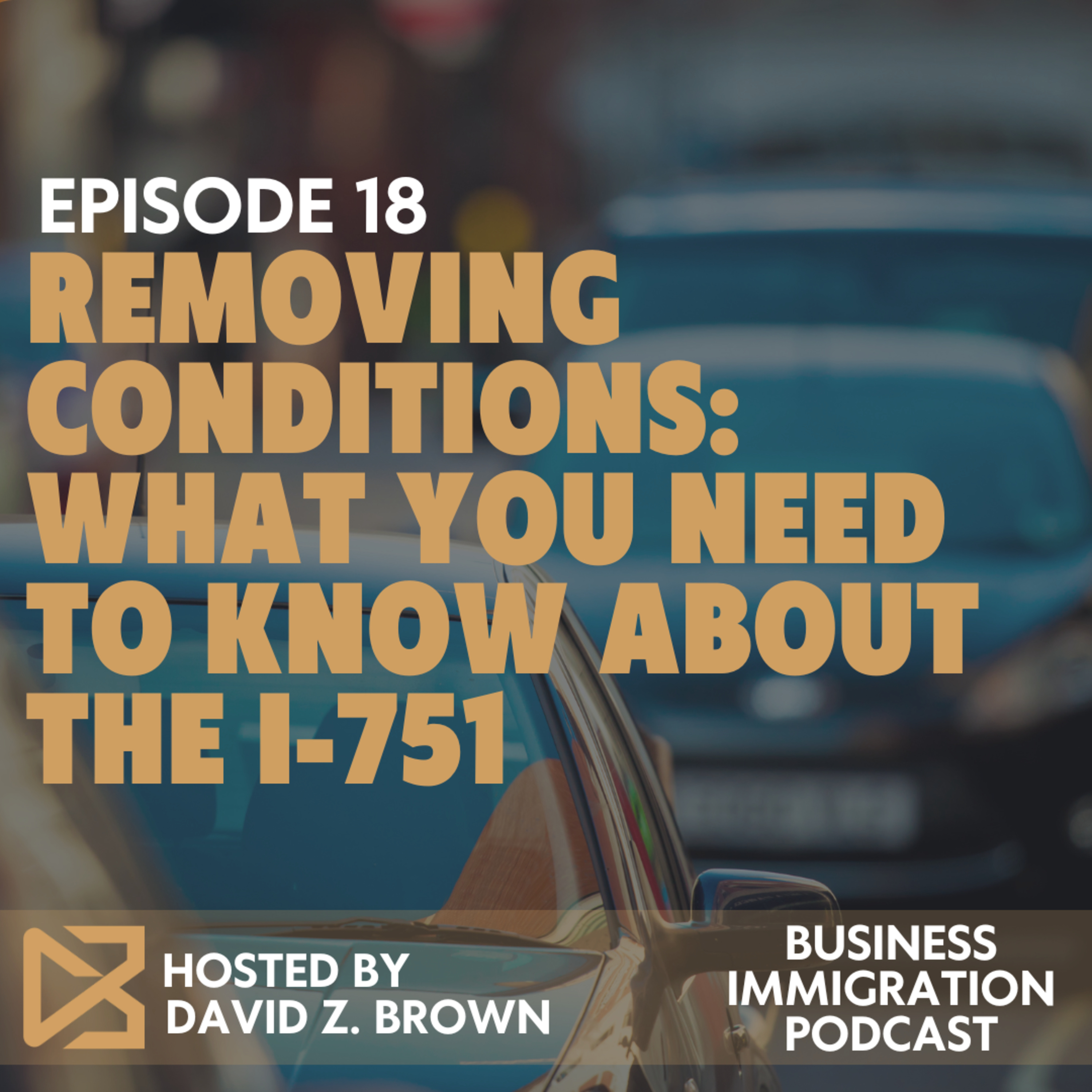 Removing Conditions: What You Need to Know About the I-751