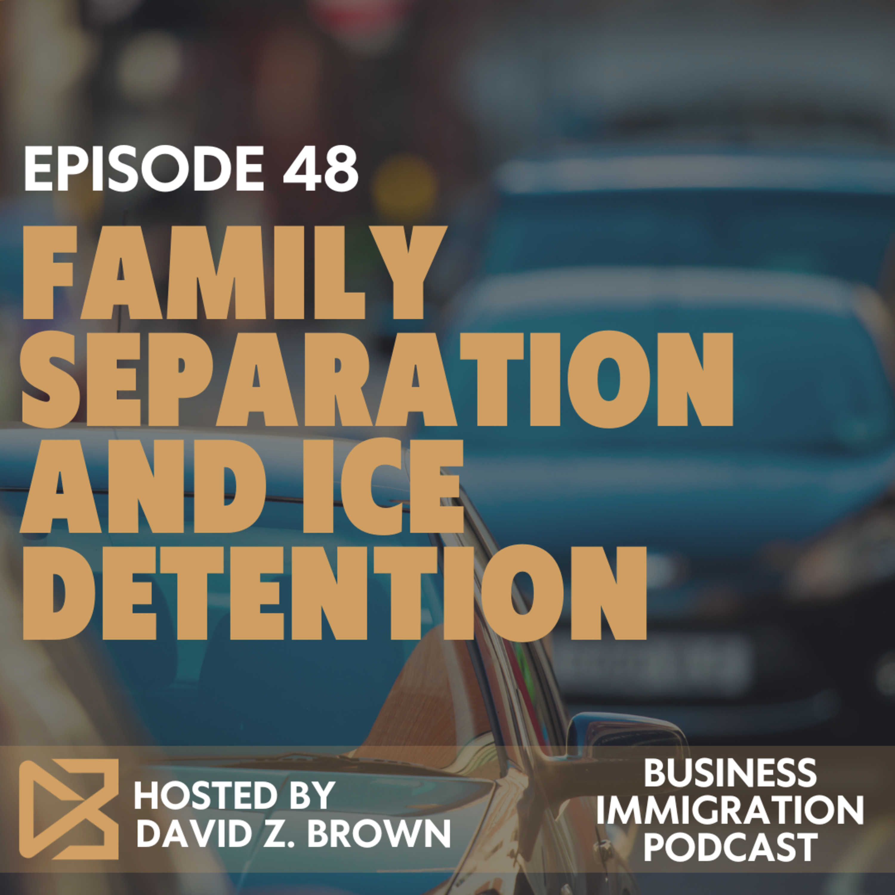 Family Separation and ICE Detention