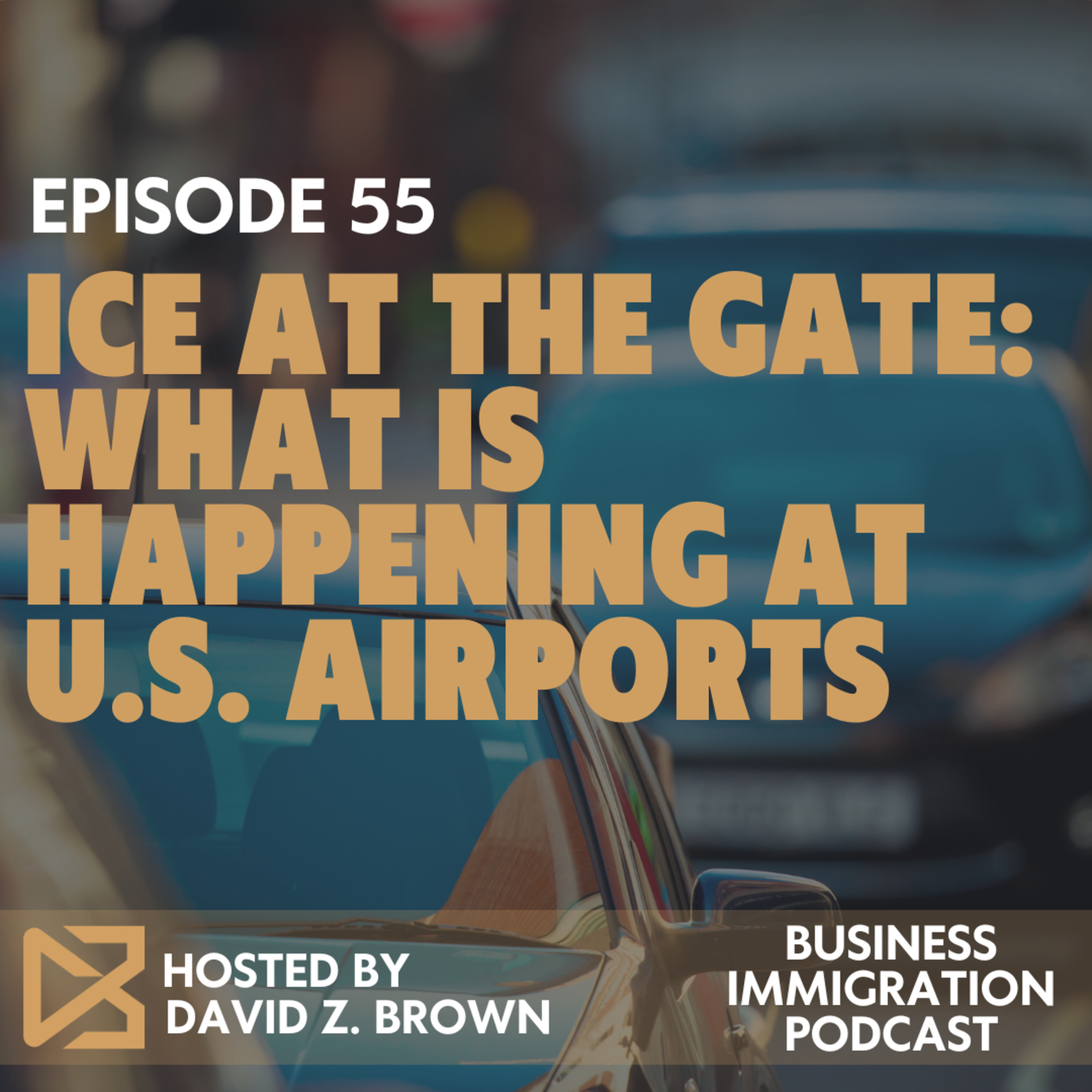 ICE at the Gate What Is Happening at U.S. Airports