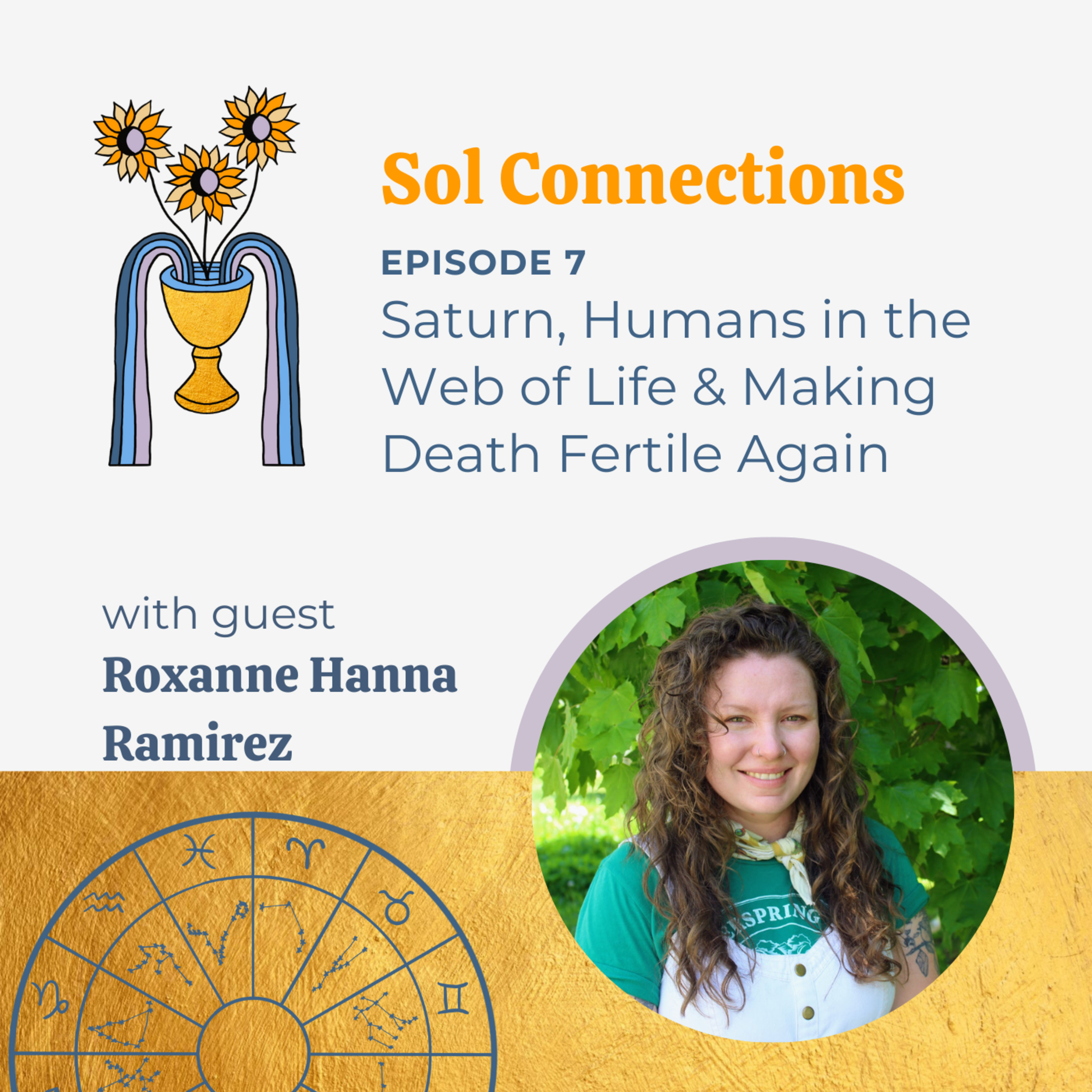 Sol Connections