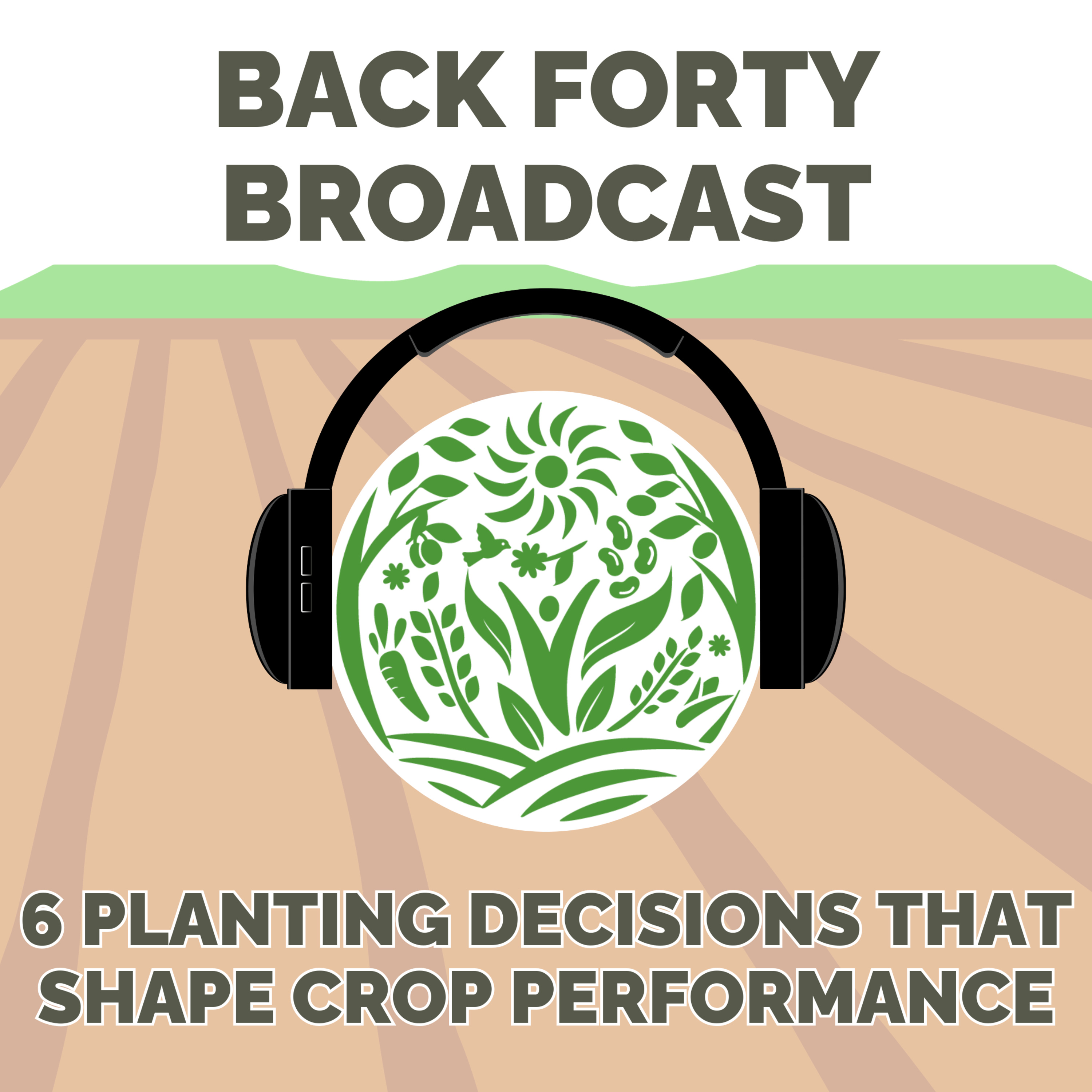 6 Planting Decisions That Shape Crop Performance 