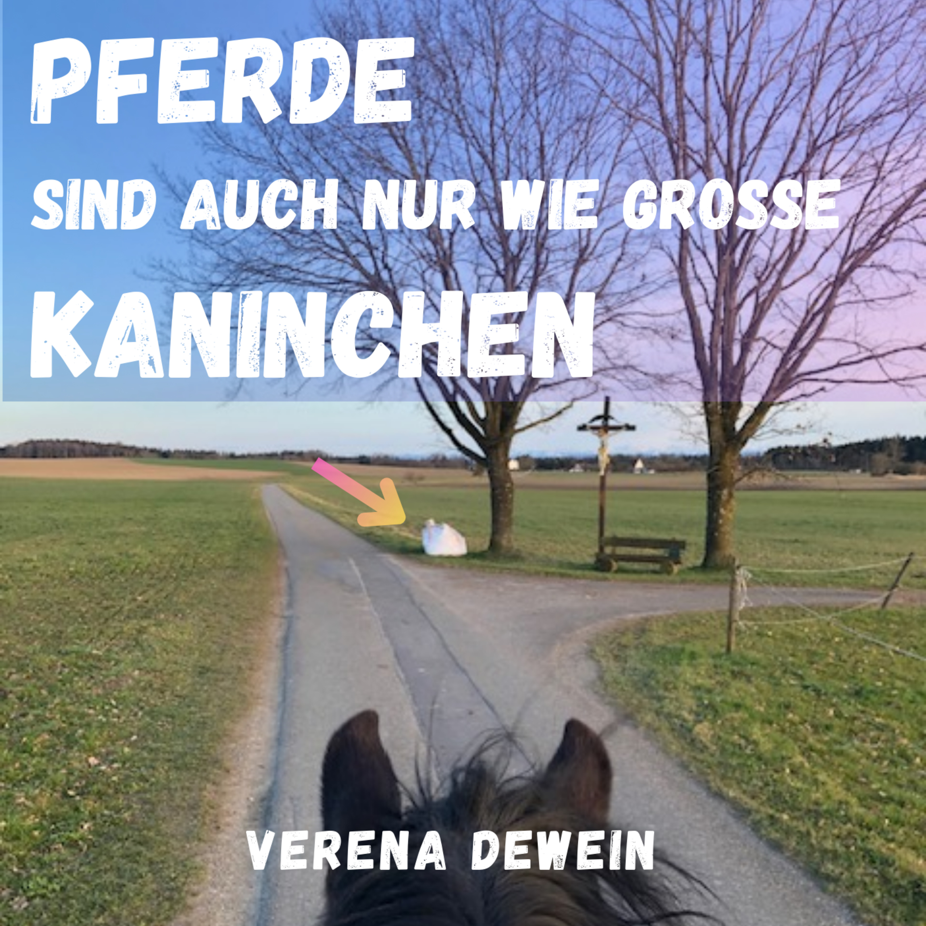 Pferde sind auch nur wie große Kaninchen - Folge 2 episode artwork