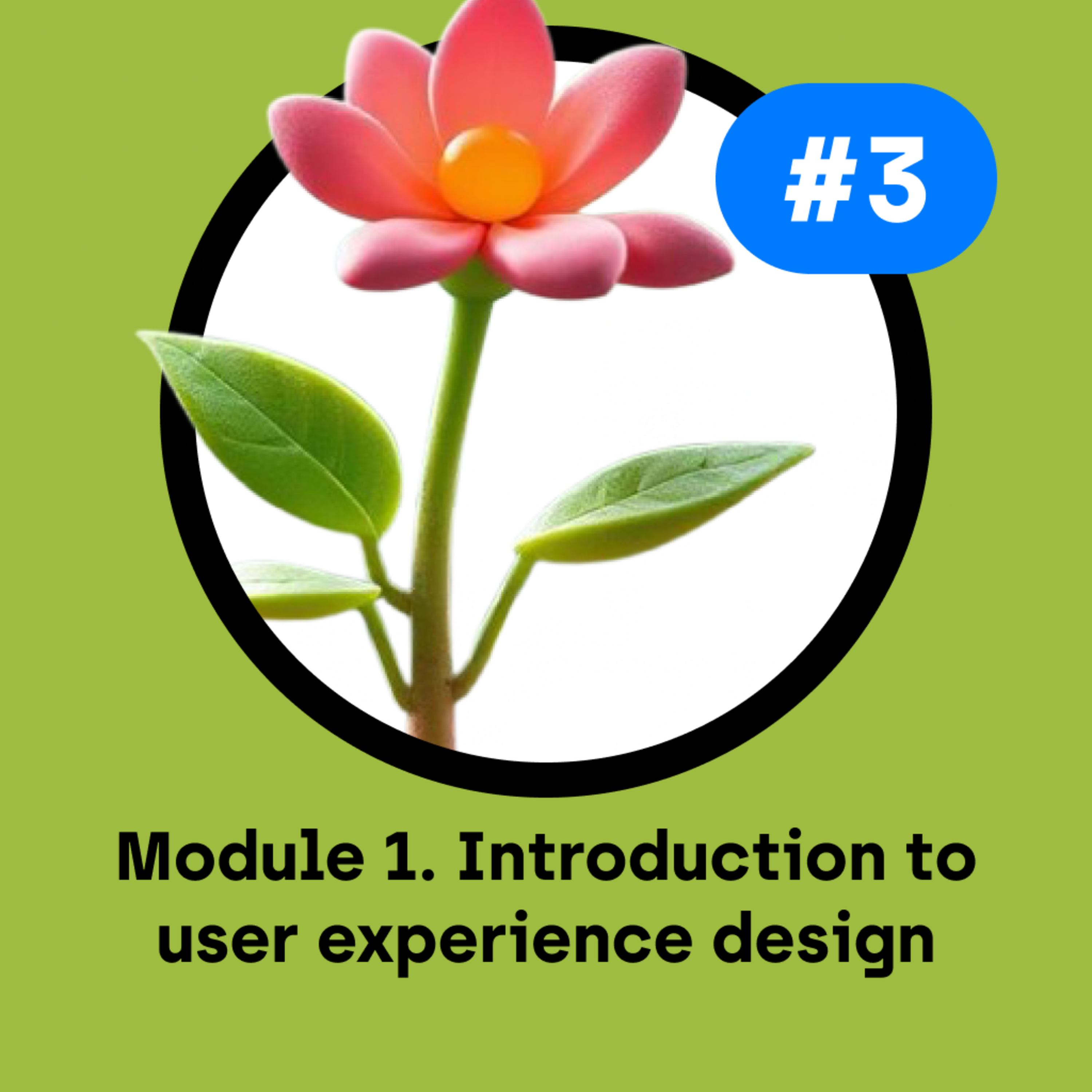 C1-M1#3 — Design for a Better World