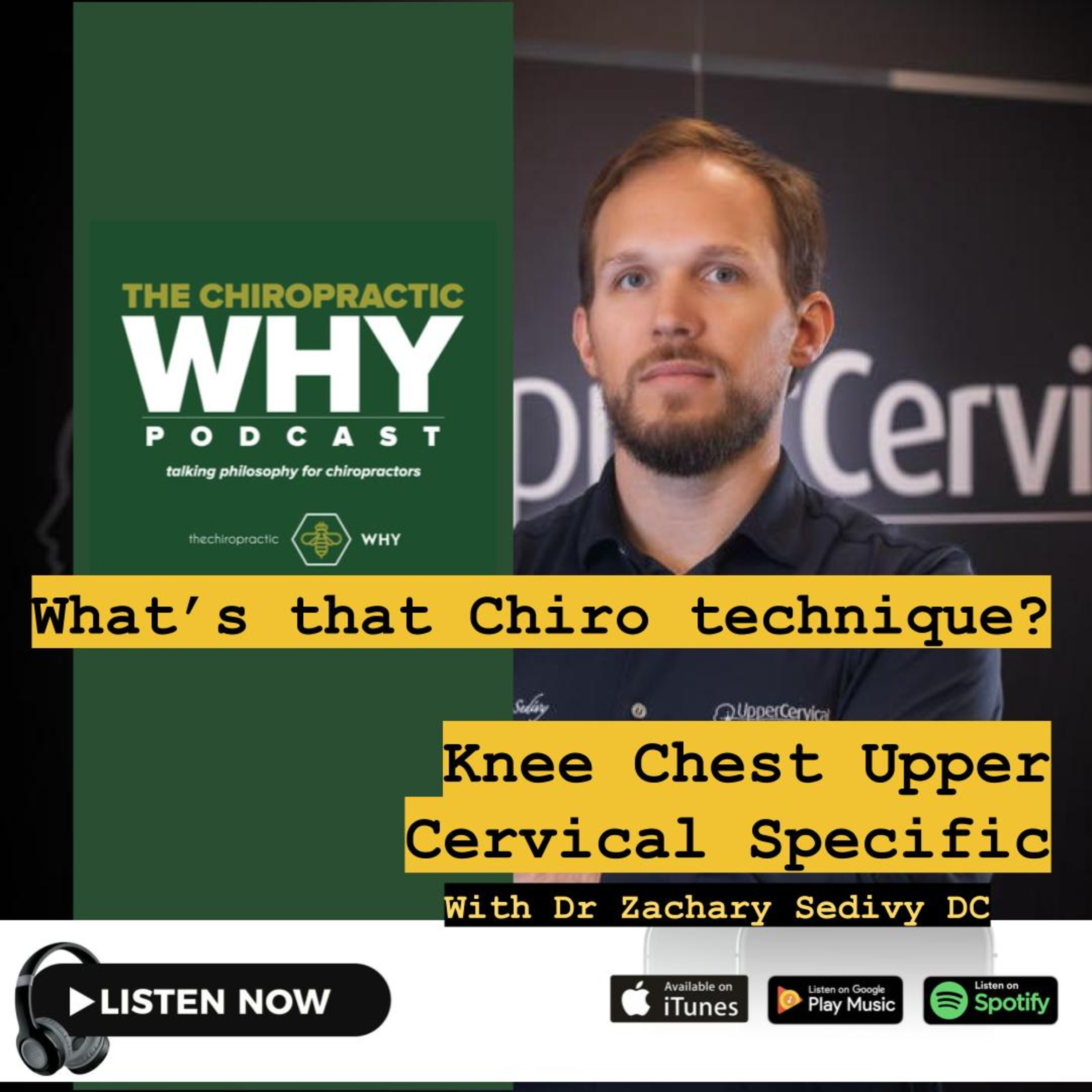 The Chiropractic WHY podcast