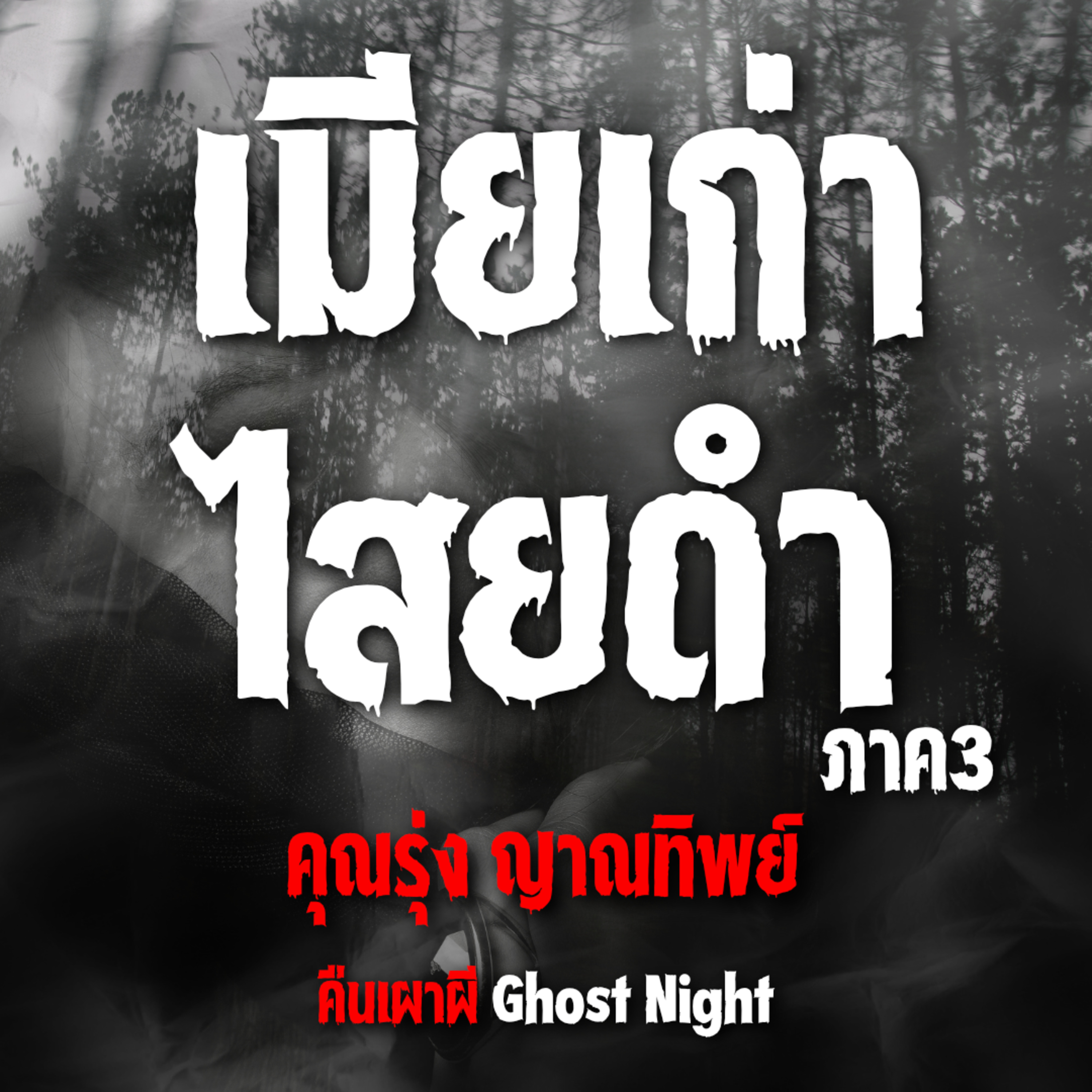 เมียเก่าไสยดำ (ภาค3) | คุณรุ่ง ญาณทิพย์