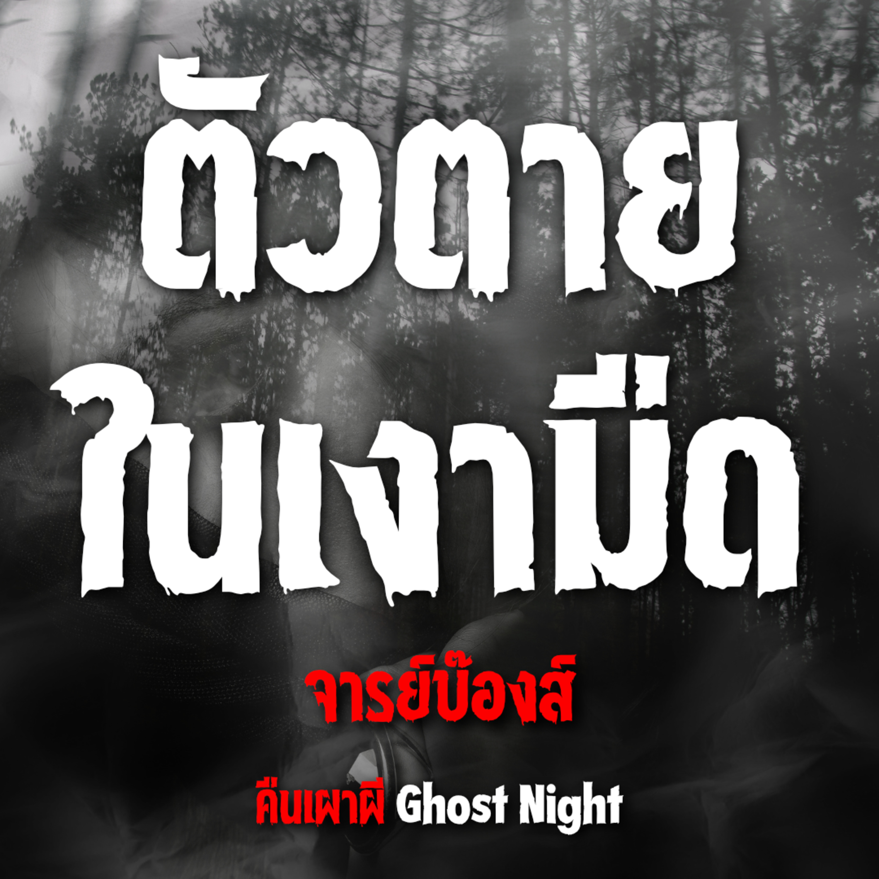 ตัวตายในเงามืด | จารย์บ๊องส์