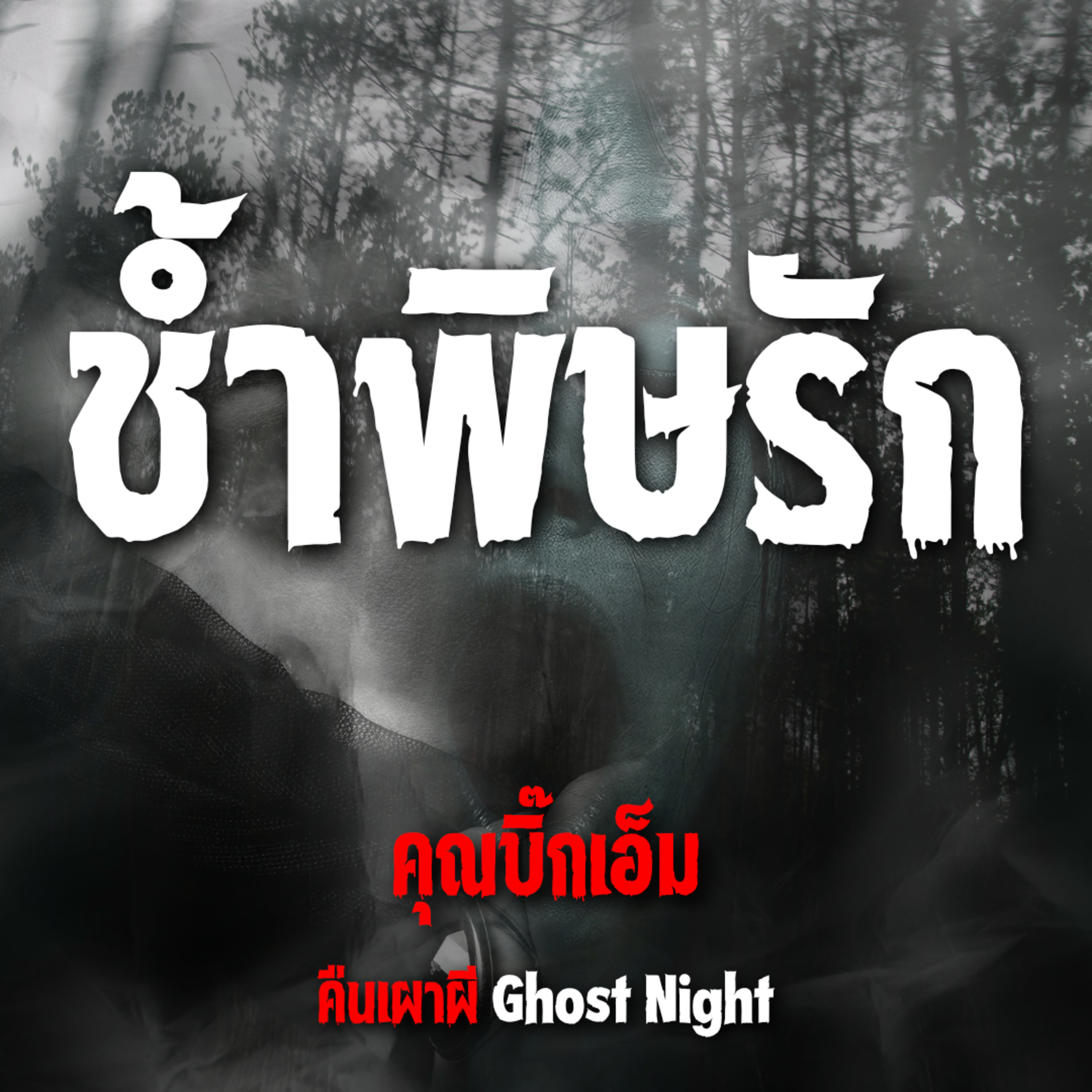 ช้ำพิษรัก l คุณบิ๊กเอ็ม