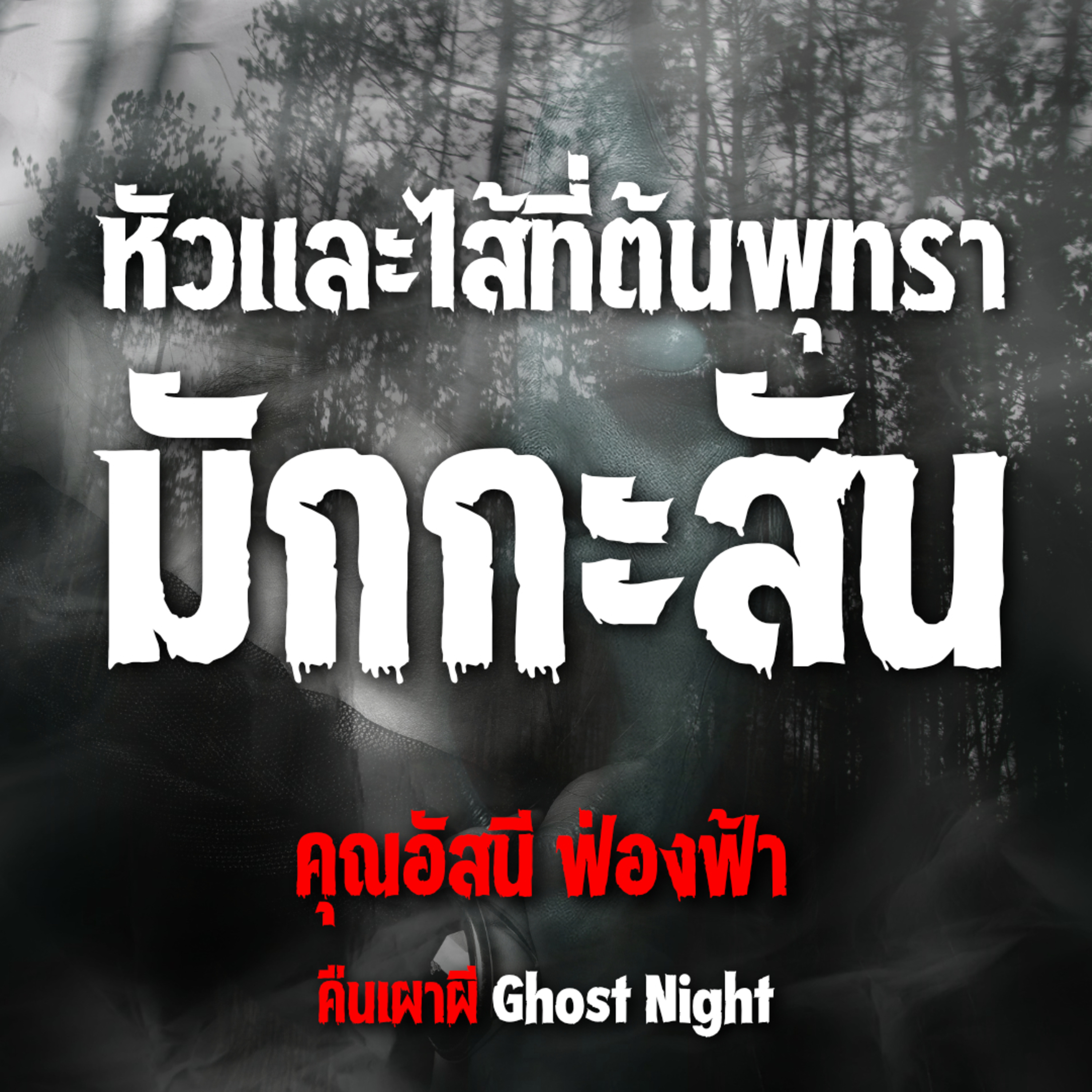 หัวและไส้ที่ต้นพุทรา มักกะสัน l คุณอัสนี ฟ่องฟ้า