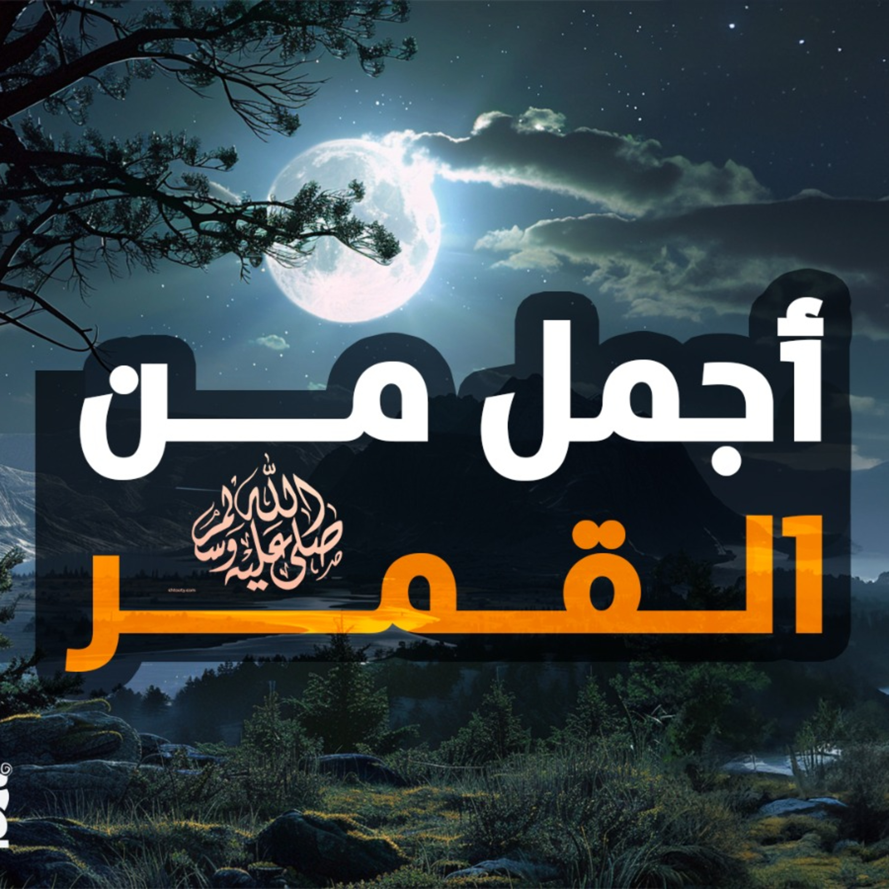 أجمل من القمر _ وصف النبي صلى الله عليه وسلم بالتفصيل كأنك تراه❤️_ السيرة النبوية ( 16 )