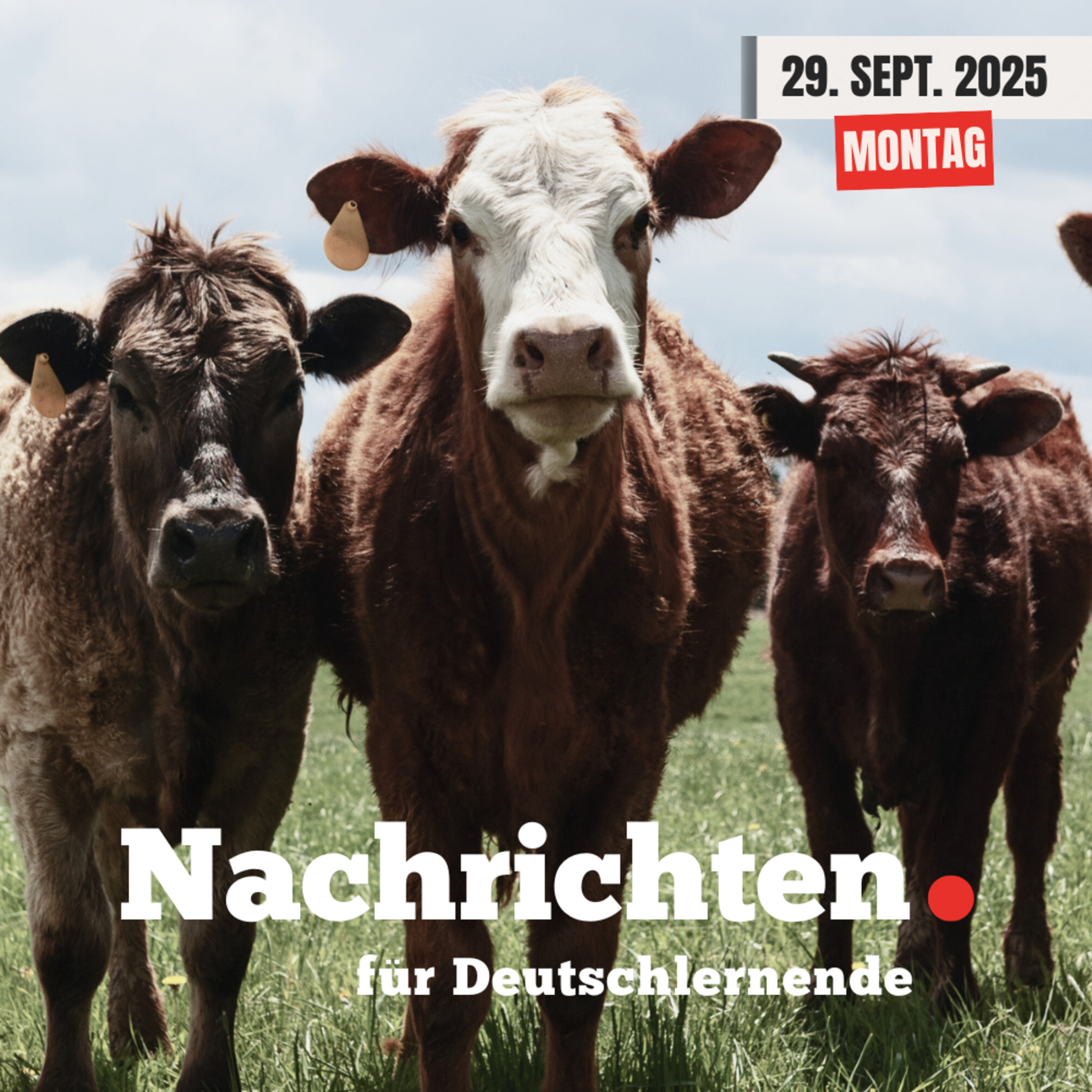 #132 Nachrichten für Deutschlernende vom 29. September 2025 | Nachrichten in Einfacher Sprache episode artwork