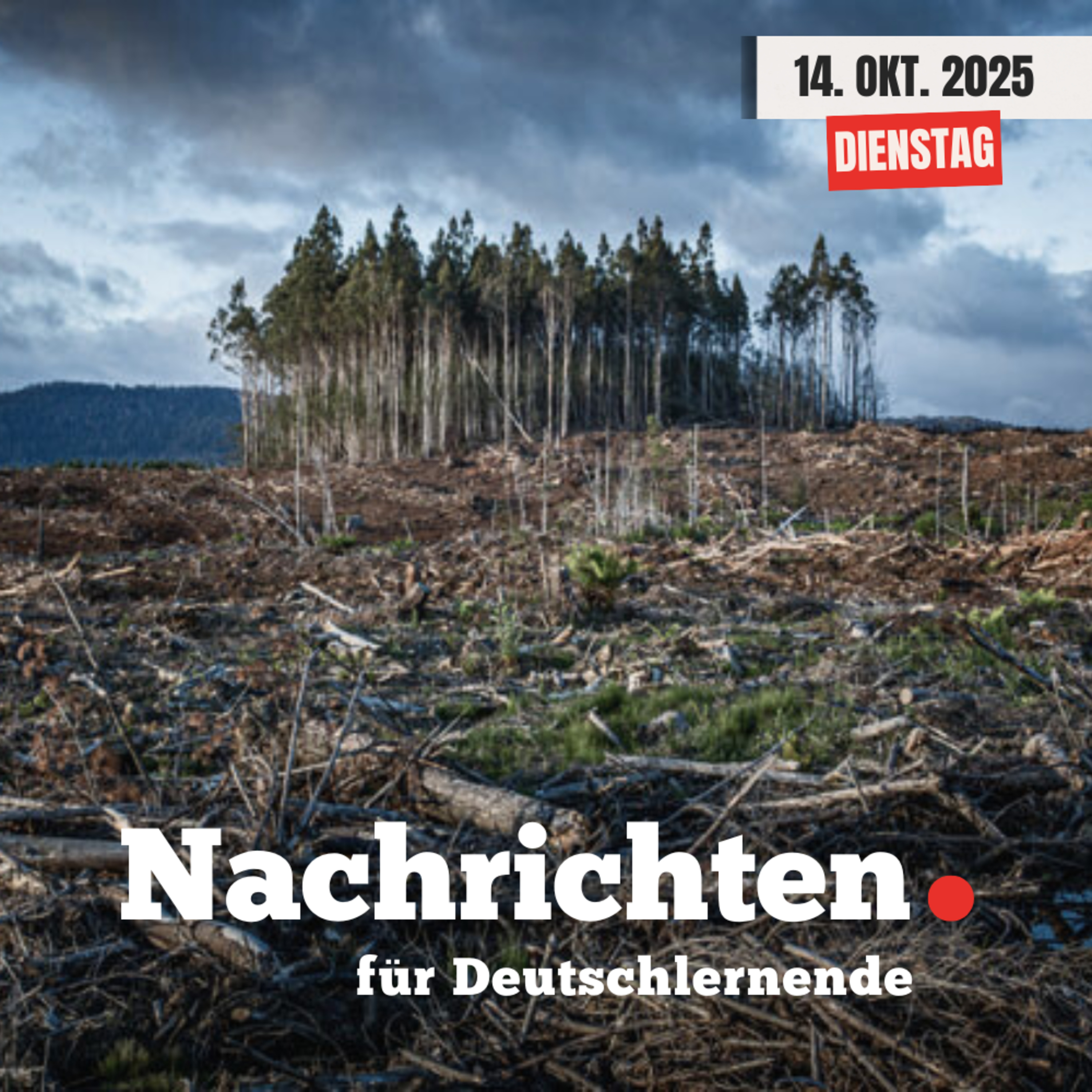 #138 Nachrichten für Deutschlernende vom 14. Oktober 2025 | Nachrichten in Einfacher Sprache episode artwork