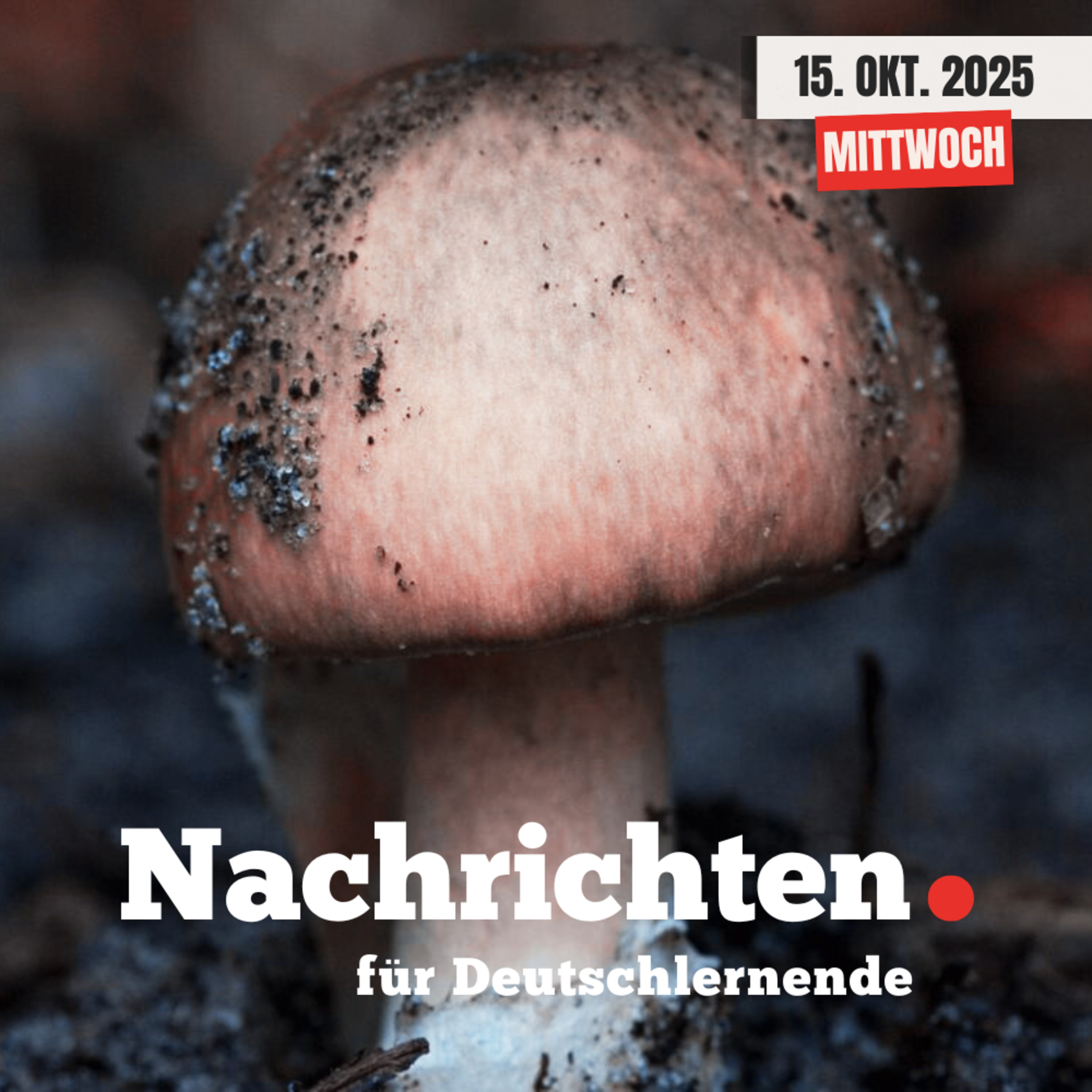 #139 Nachrichten für Deutschlernende vom 15. Oktober 2025 | Nachrichten in Einfacher Sprache episode artwork