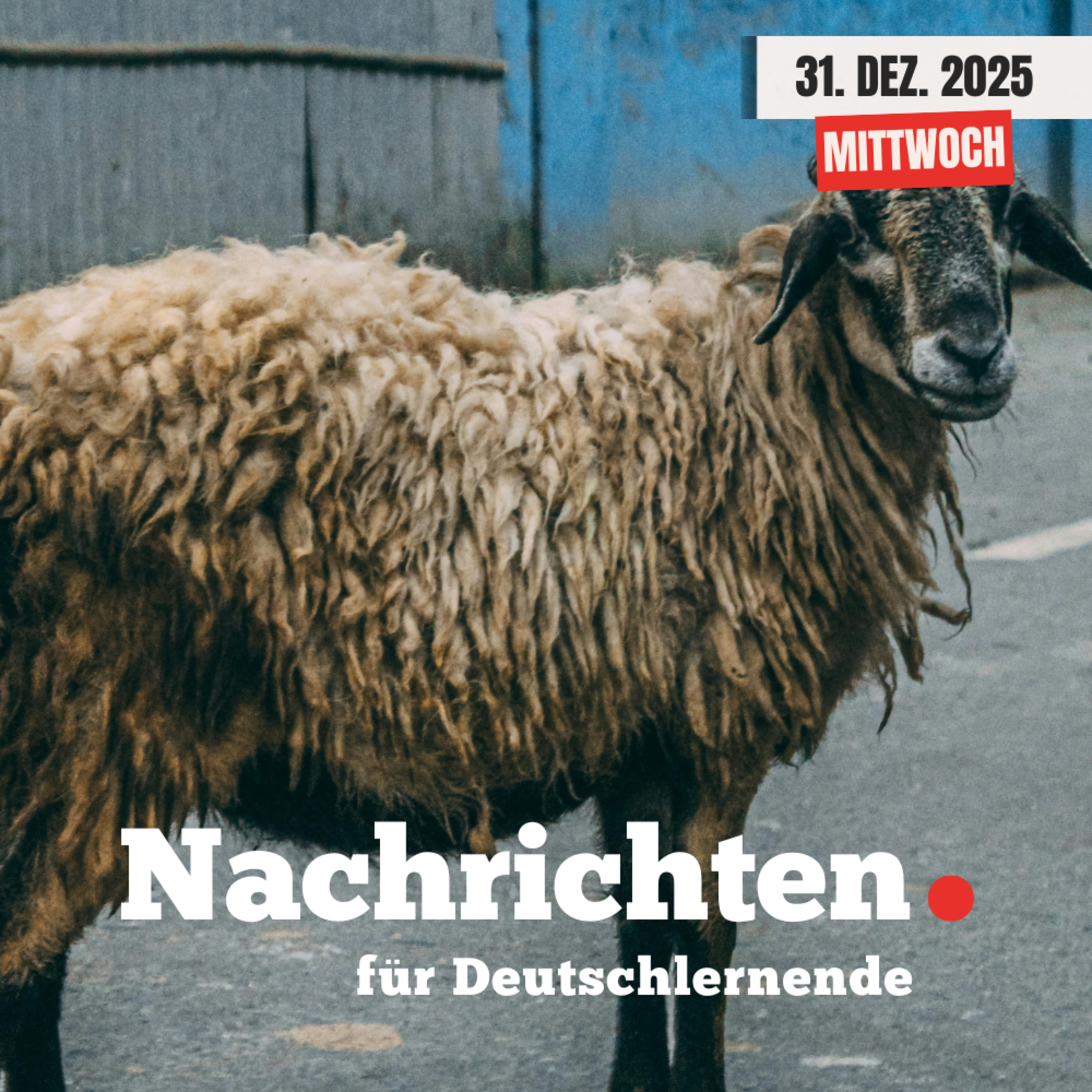 #237 Nachrichten für Deutschlernende vom 31. Dezember 2025 | Nachrichten in Einfacher Sprache episode artwork