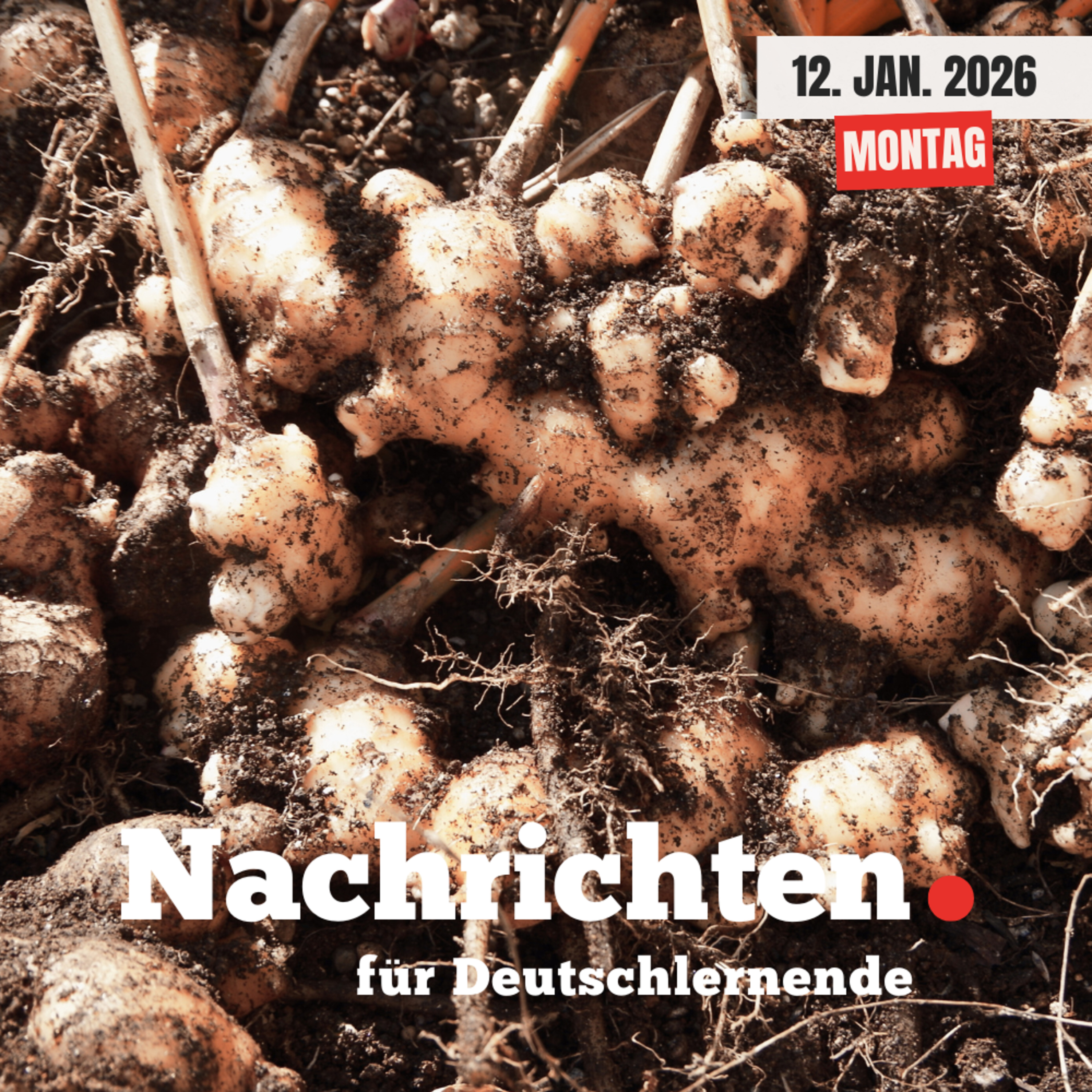 #249 Nachrichten für Deutschlernende vom 12. Januar 2026 | Nachrichten in Einfacher Sprache