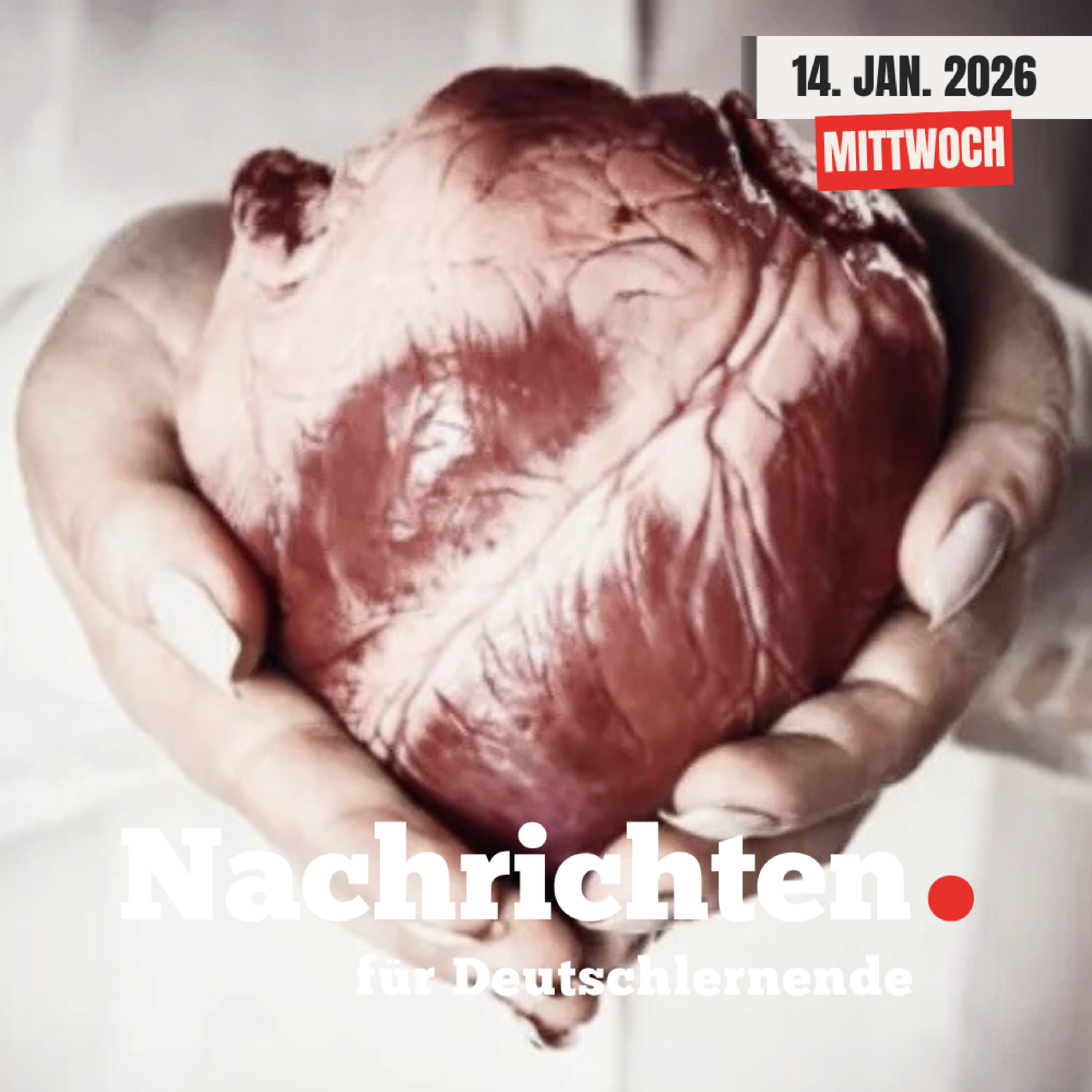 #253 Nachrichten für Deutschlernende vom 14. Januar 2026 | Nachrichten in Einfacher Sprache episode artwork