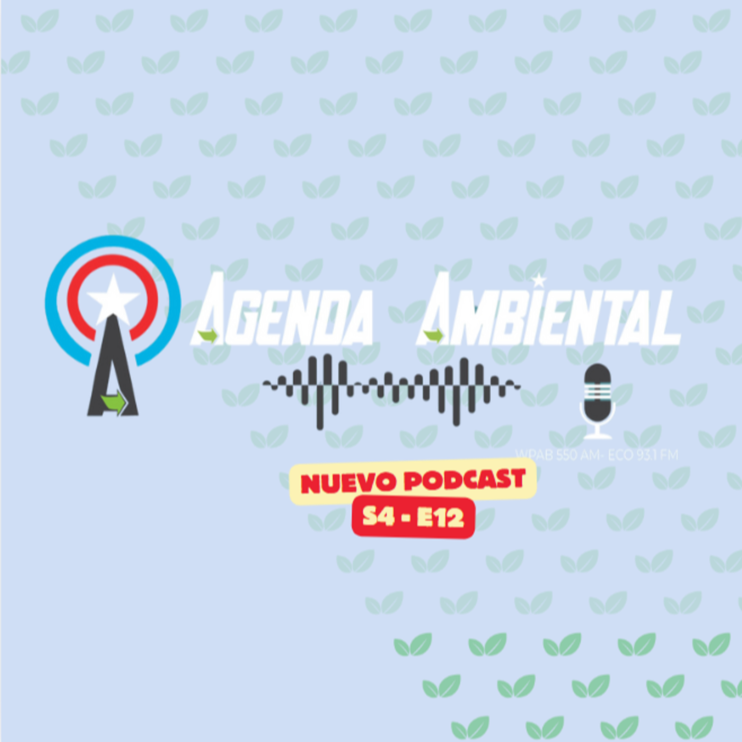 Ep. 12: "De la bomba a la querella: Voces que no se callan" episode artwork
