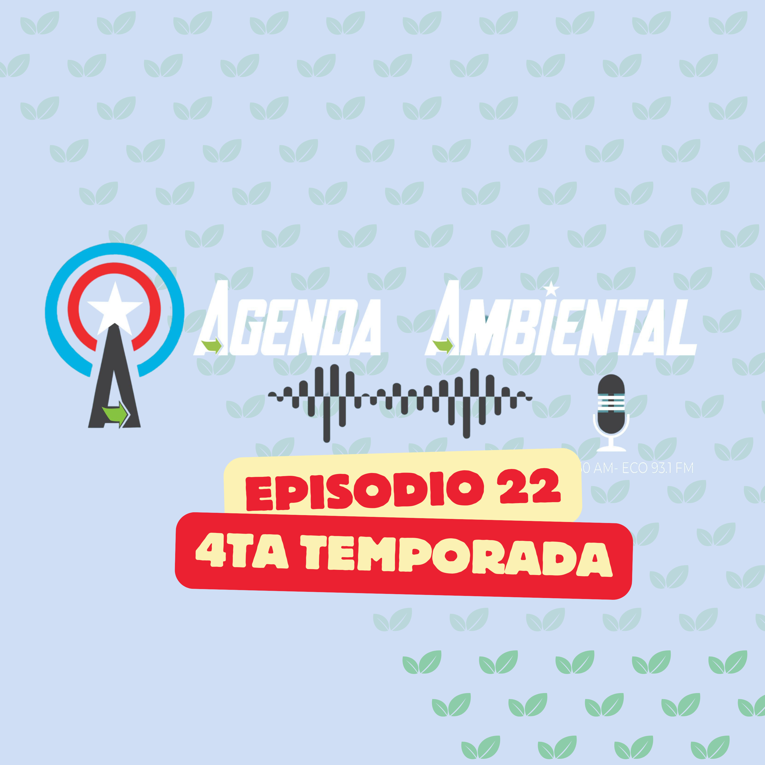 Ep. 22: Acceso al mar, cenizas tóxicas y una falla geológica: Voces desde Arroyo y Peñuelas episode artwork