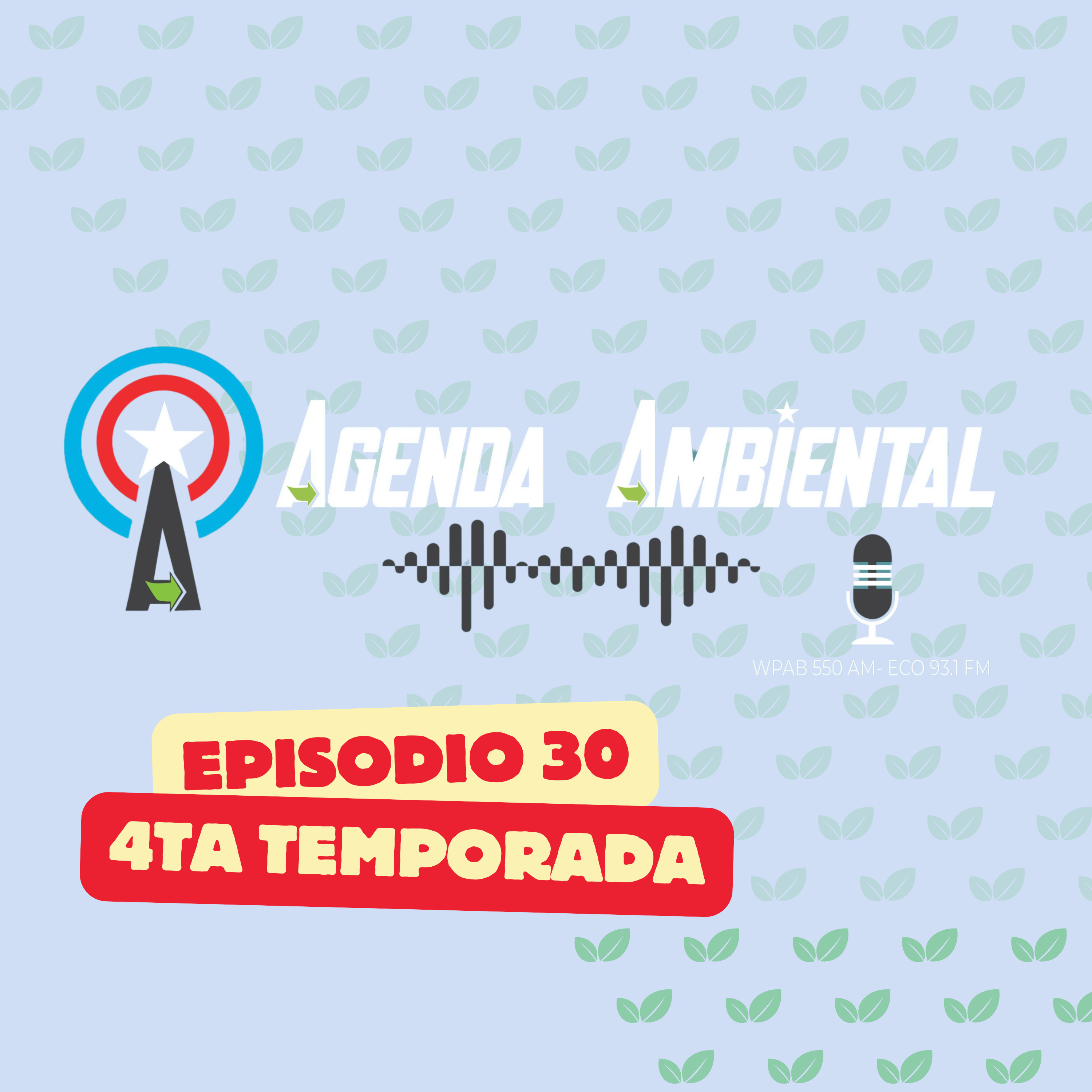 Ep. 30: Resistiendo desde abajo: Borinquen, Cambalache y Guánica hablan episode artwork