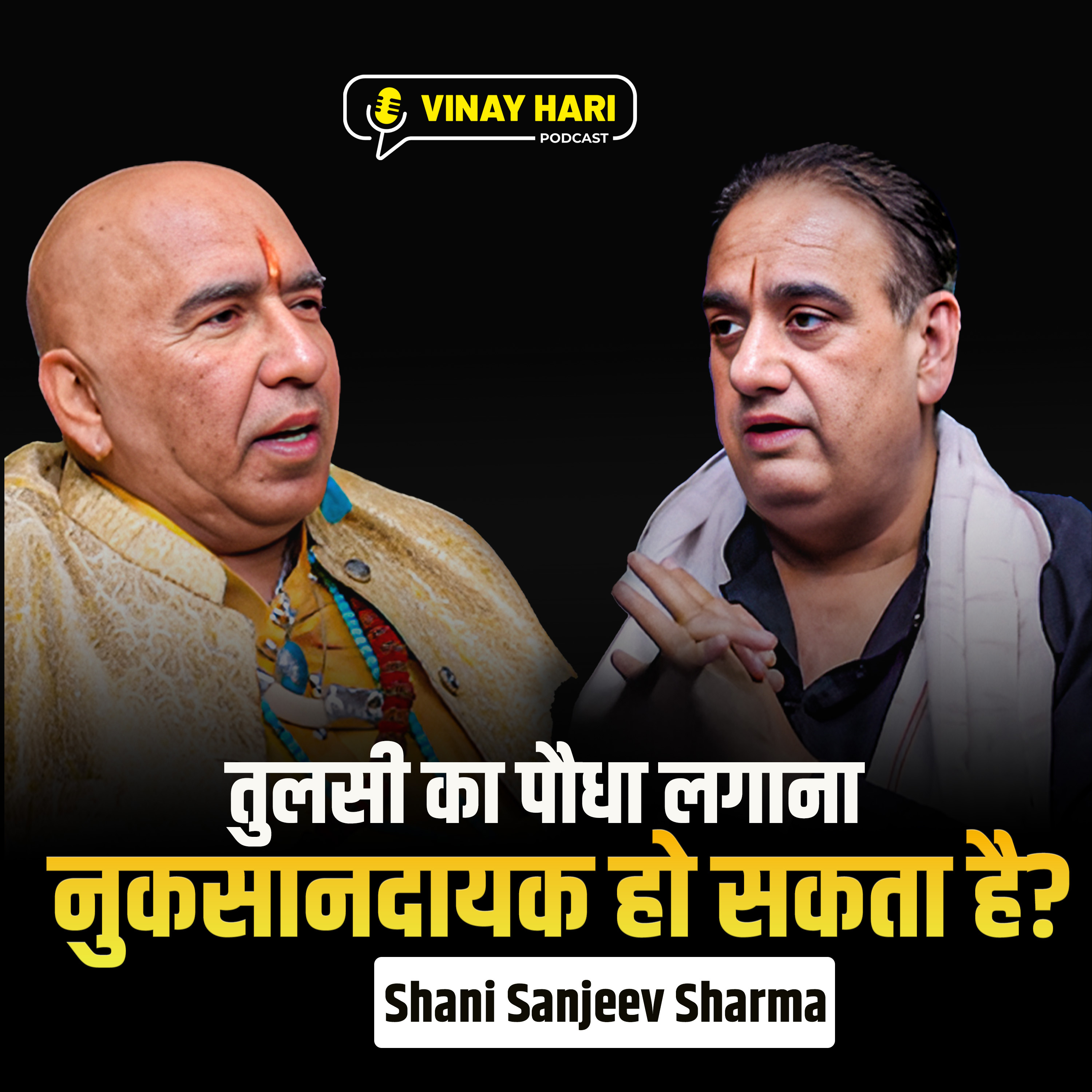 क्या तुलसी का पौधा लगाना भी नुकसानदायक हो सकता है? episode artwork