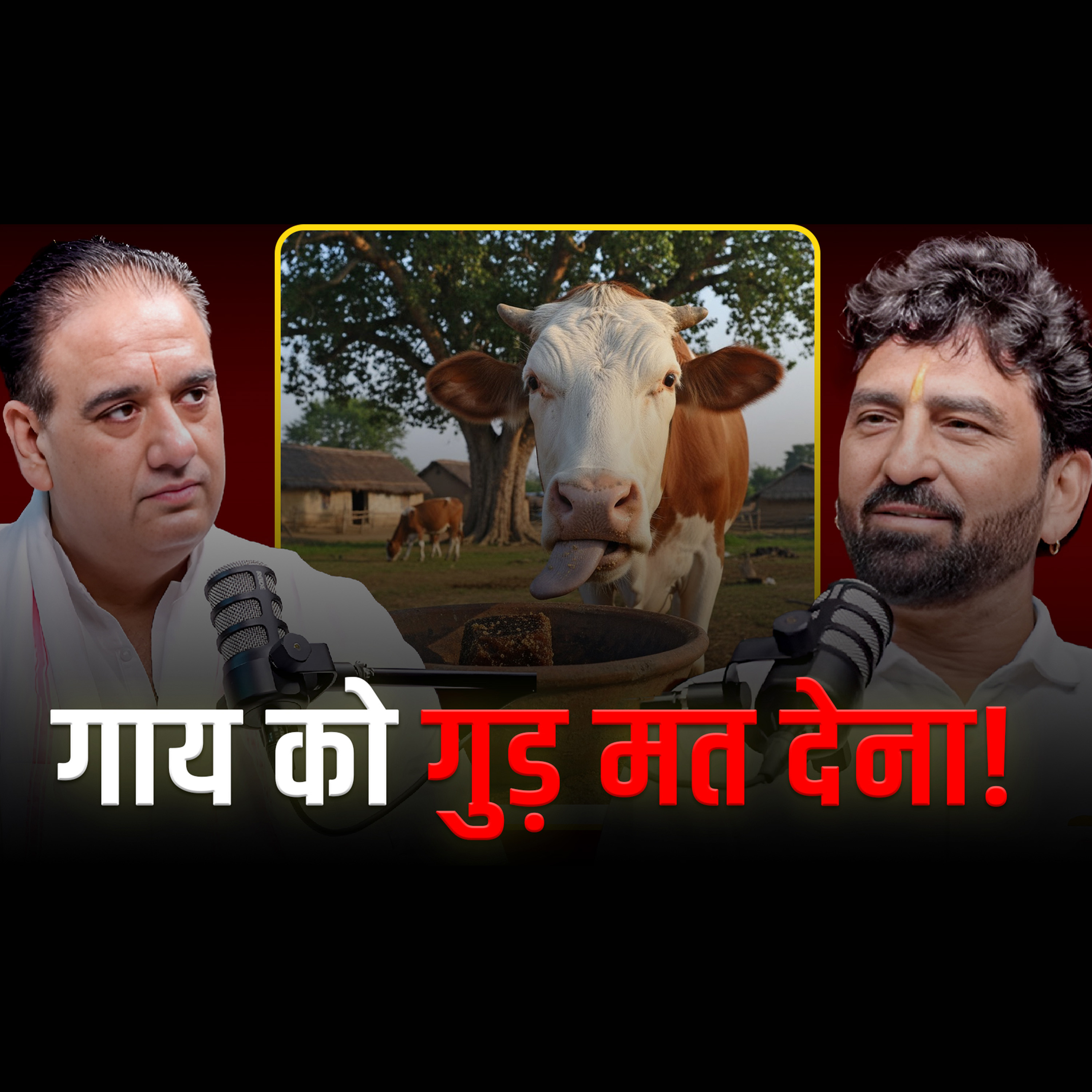 🐄 क्यों गाय को गुड़ नहीं देना चाहिए? जानिए असली कारण!❌🍬- Astrologer Bittu Pandit episode artwork