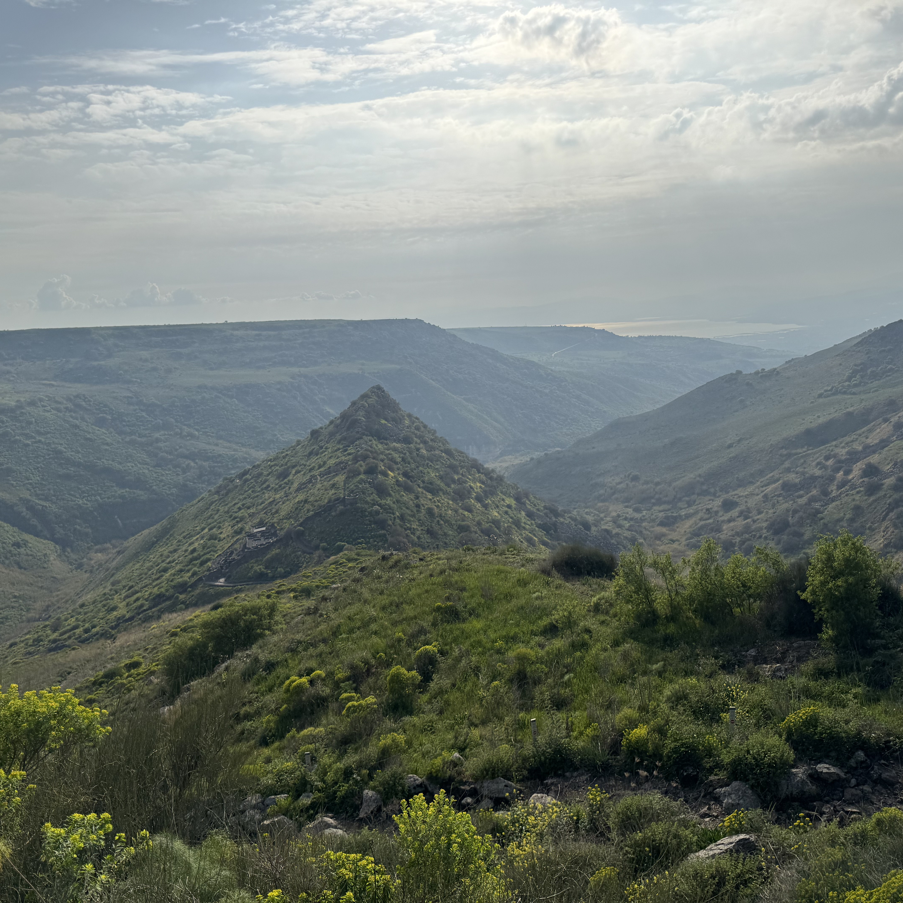 Amazing Israel Tours