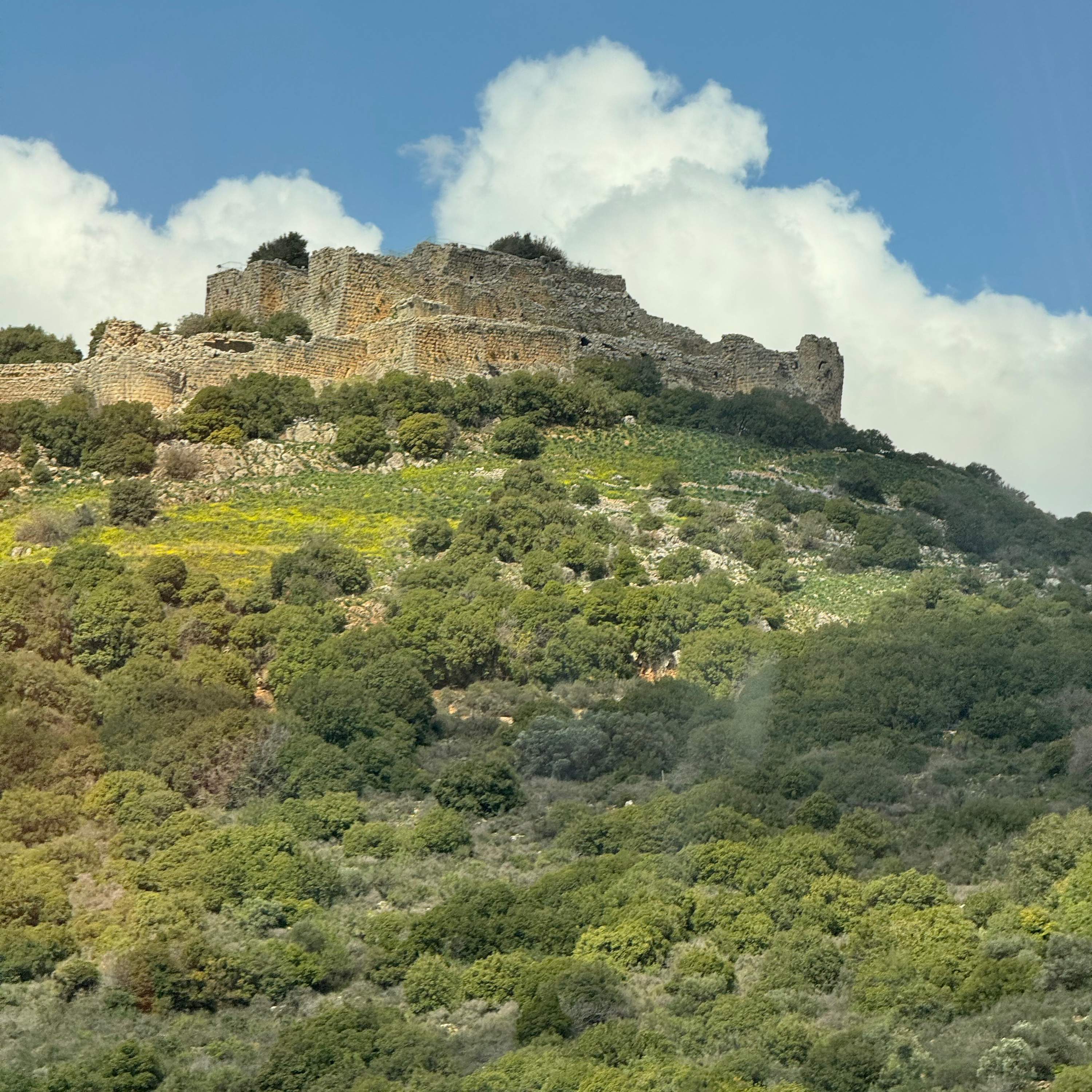 Amazing Israel Tours