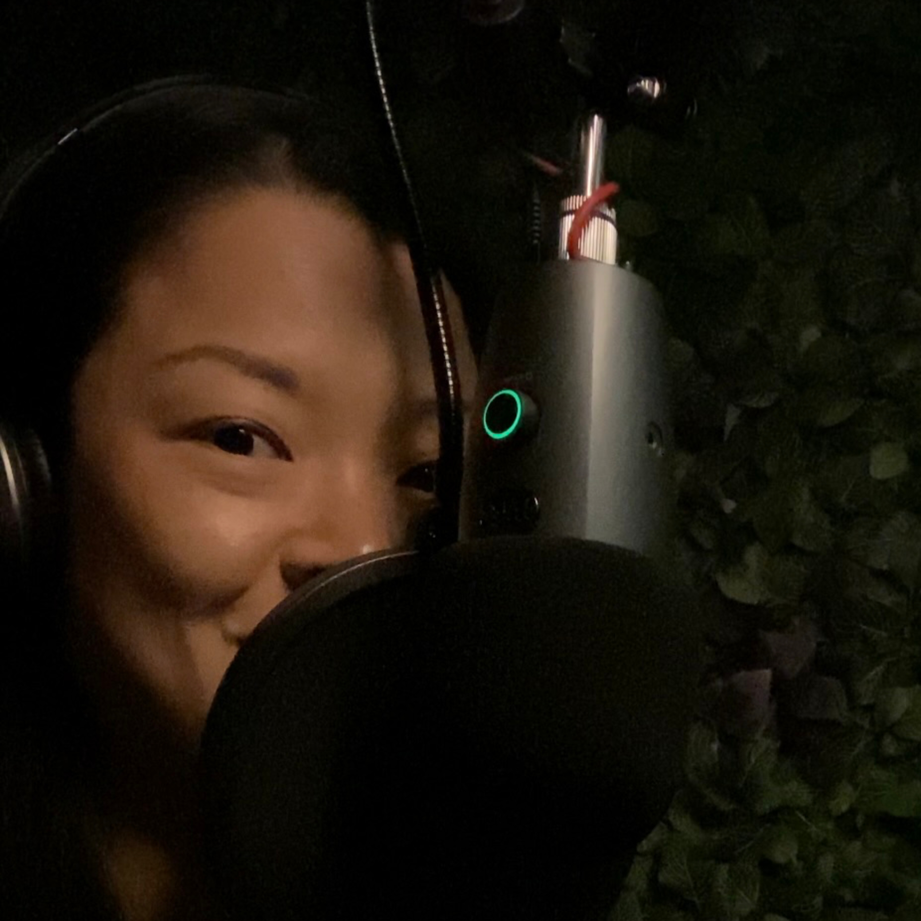 This Is A Podcast About House Music (ASMR)