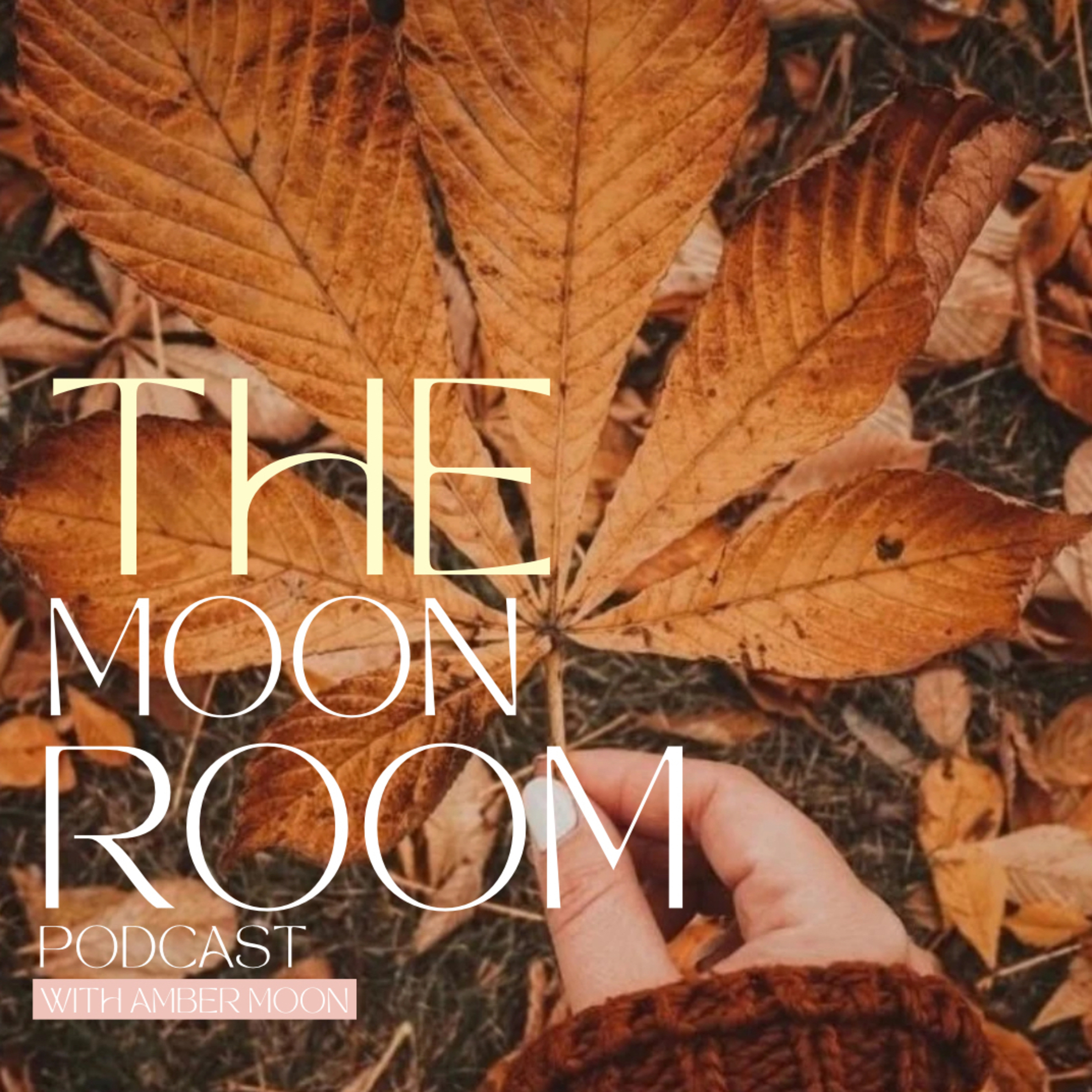 5 minute meditation : roots & Renewal