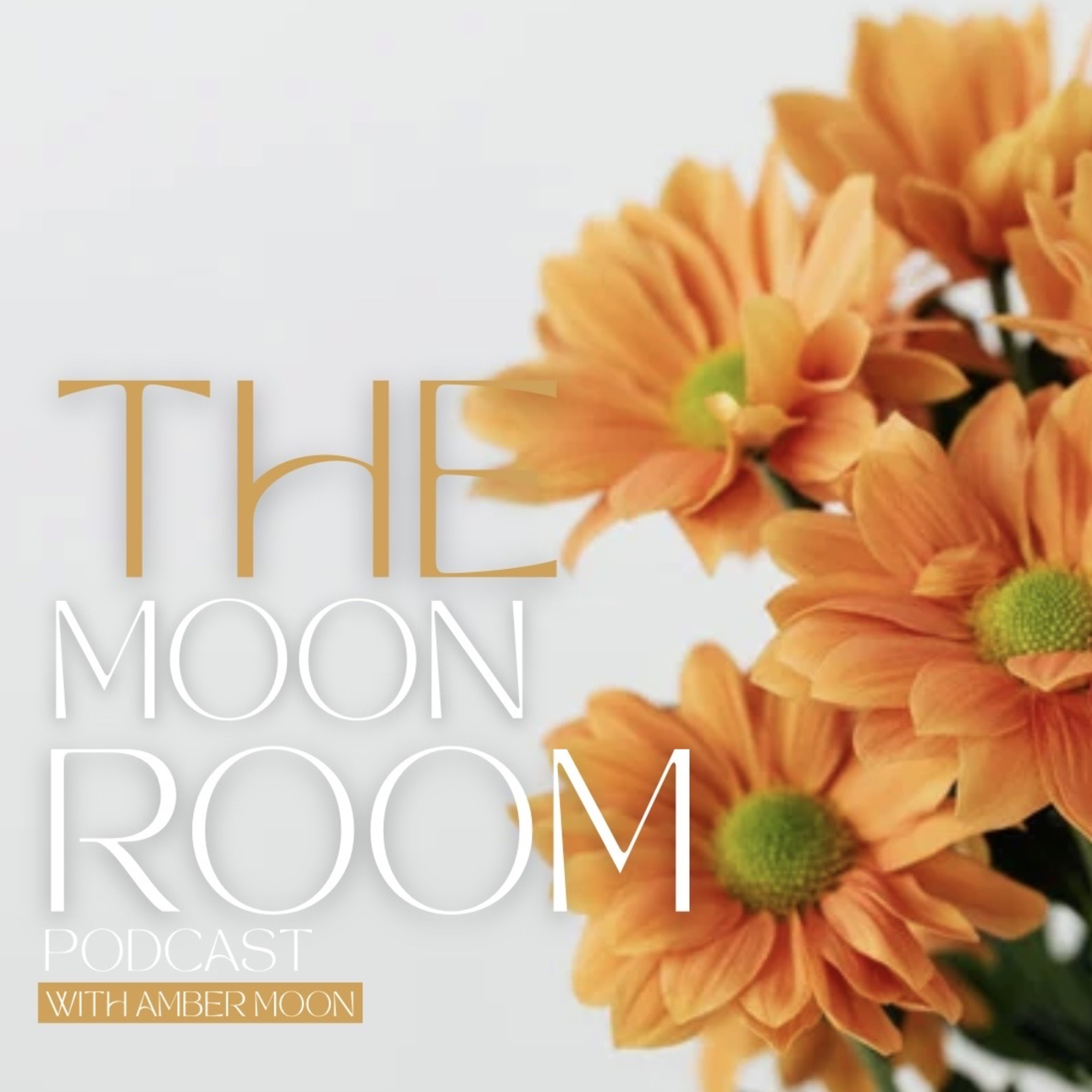 5 minute guided meditation - self love & softening