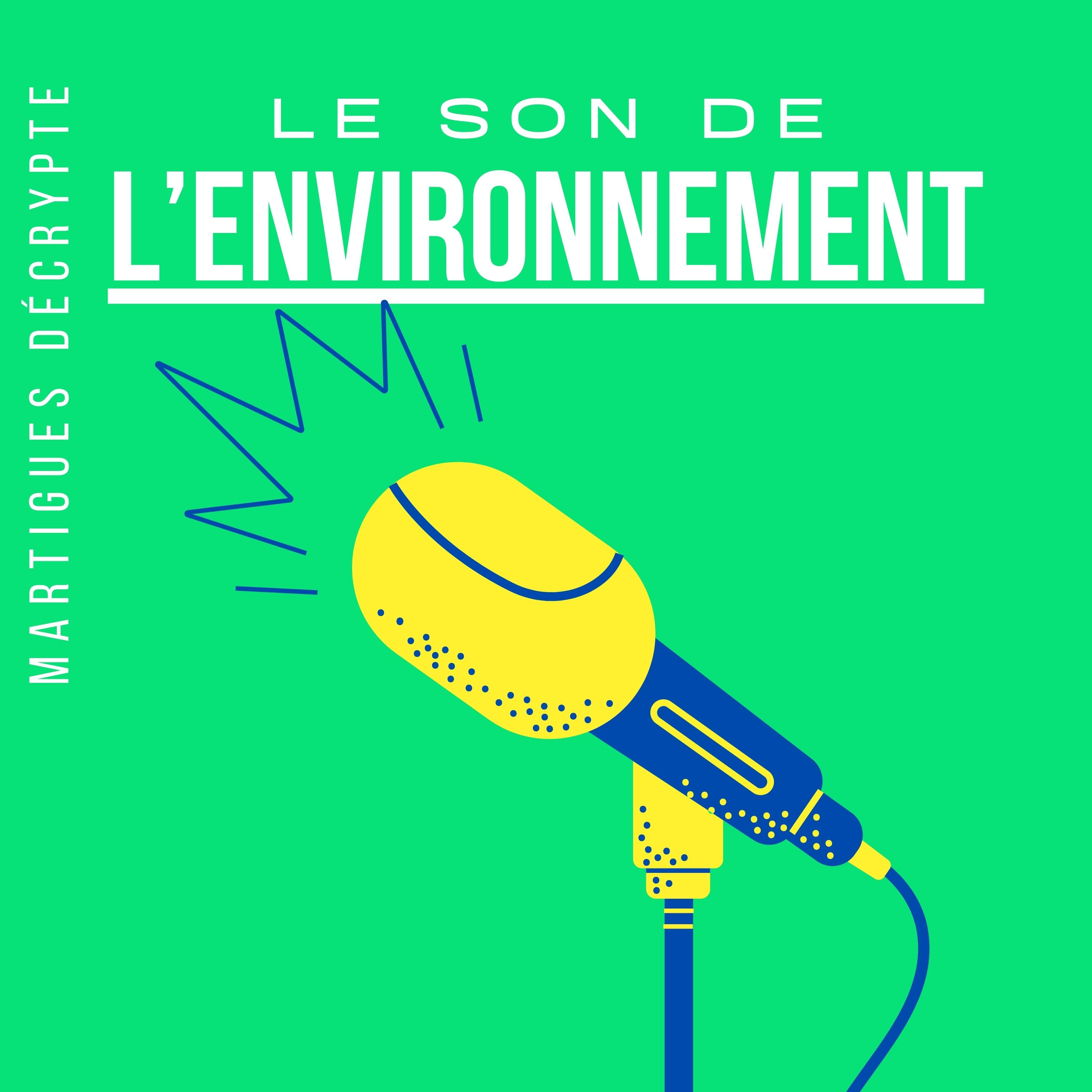 Martigues Décrypte