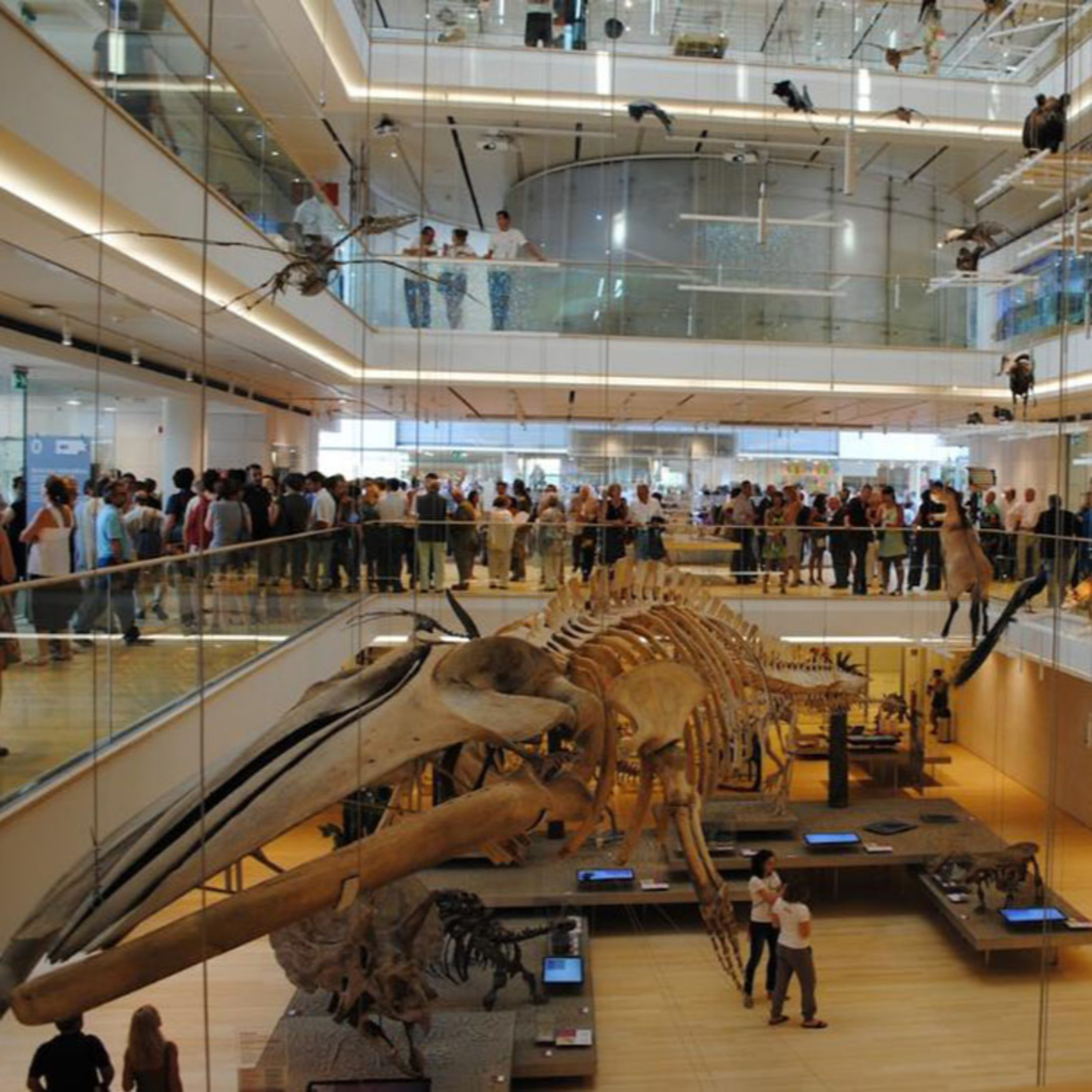 Il Museo Nazionale della Scienza e della Tecnologia Leonardo Da Vinci episode artwork