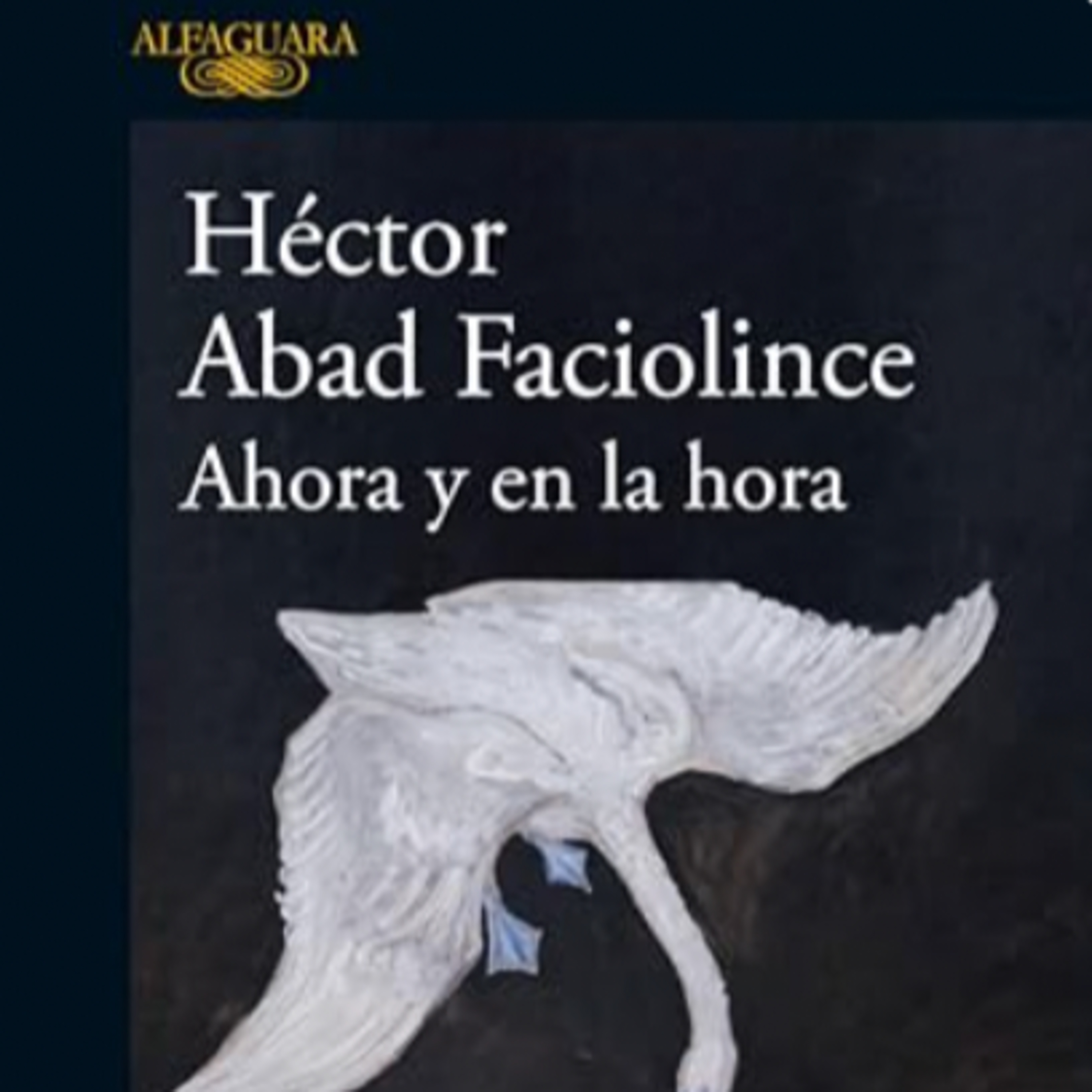 Ahora y en la hora. episode artwork
