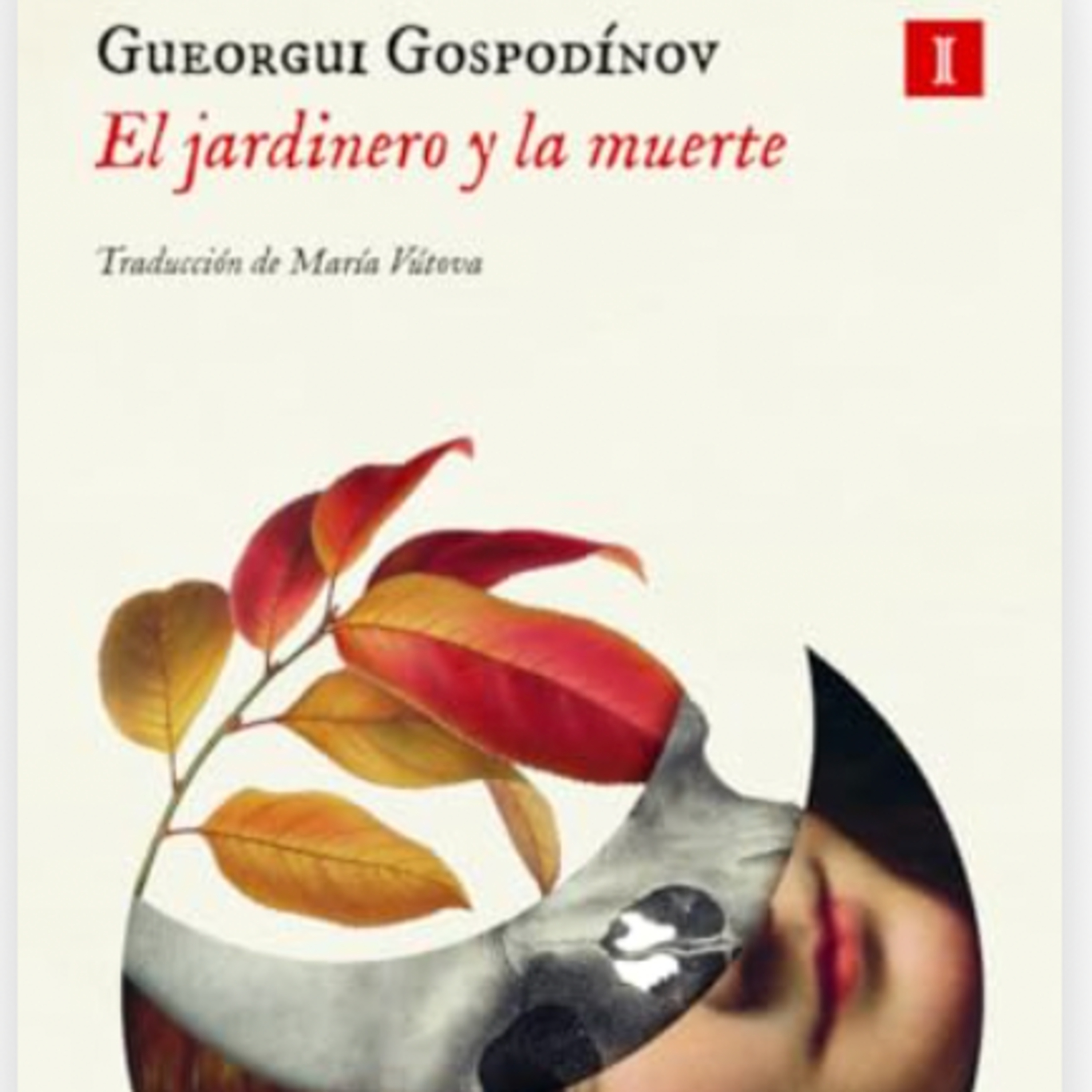 Portada de "A la milly con libros"