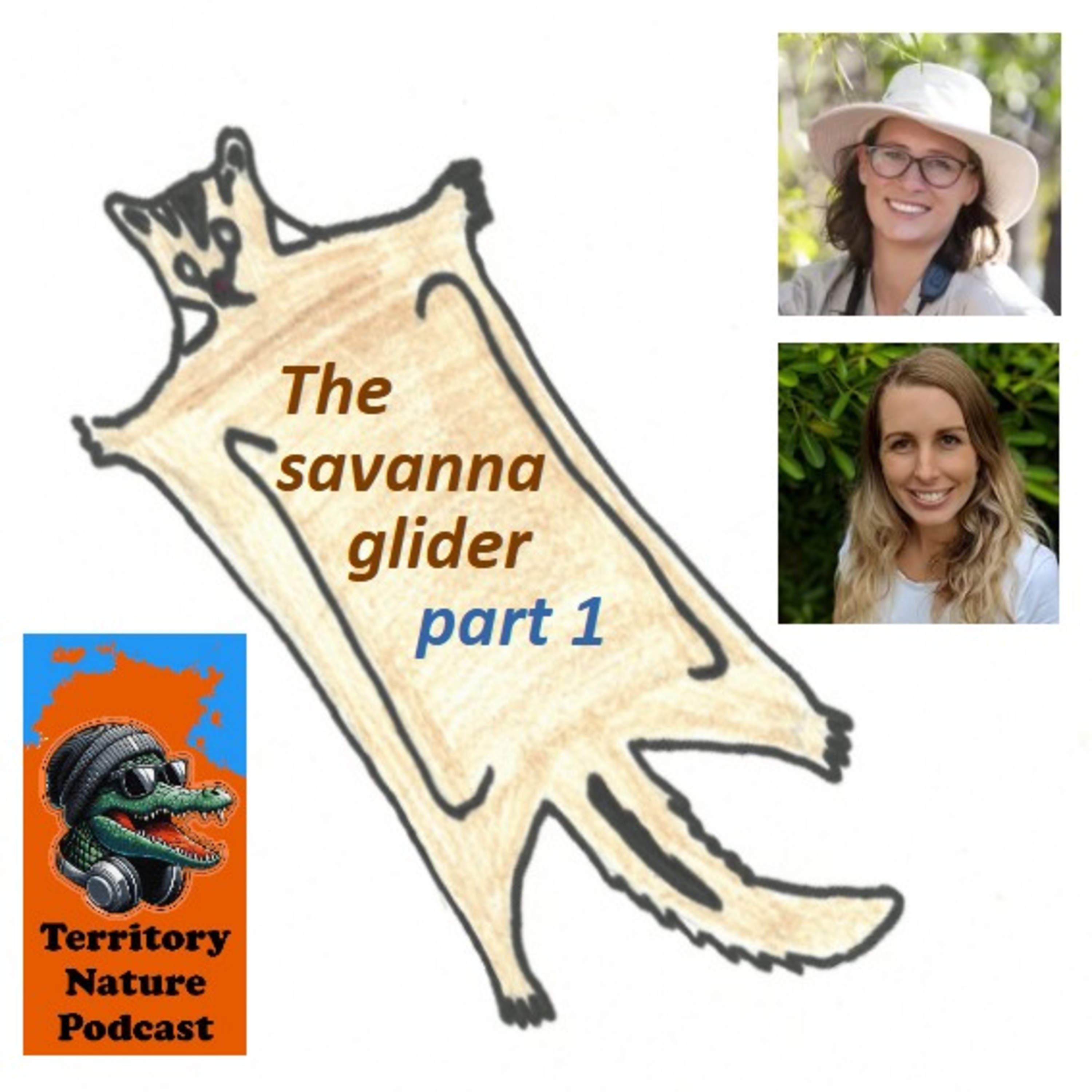 Savanna gliders - part 1 episode artwork