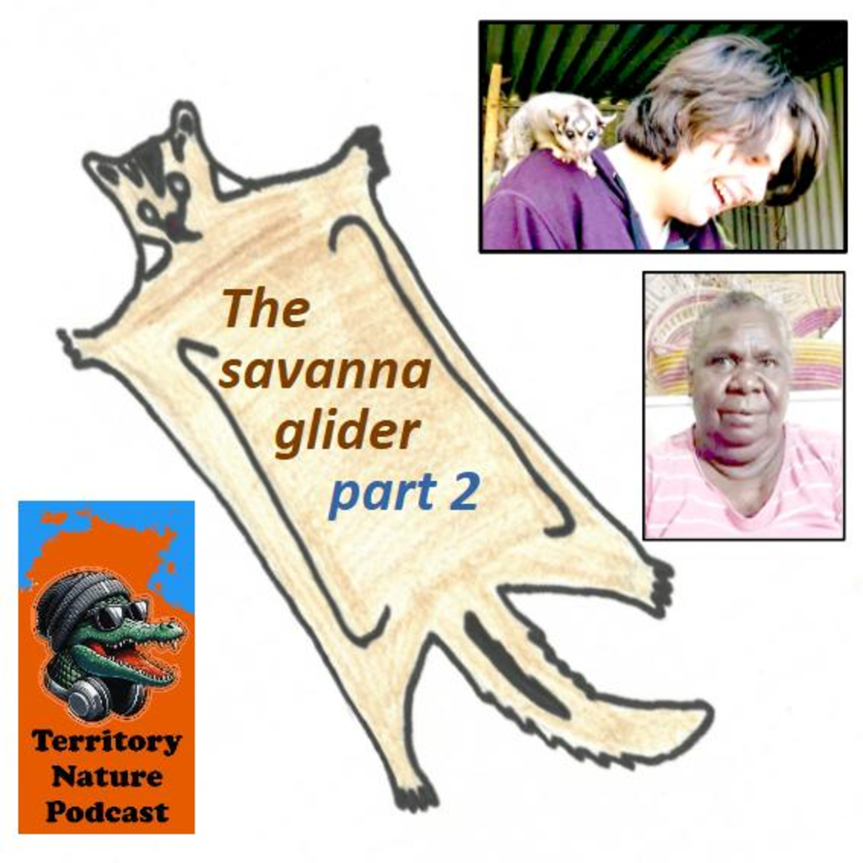 Savanna gliders - part 2 episode artwork
