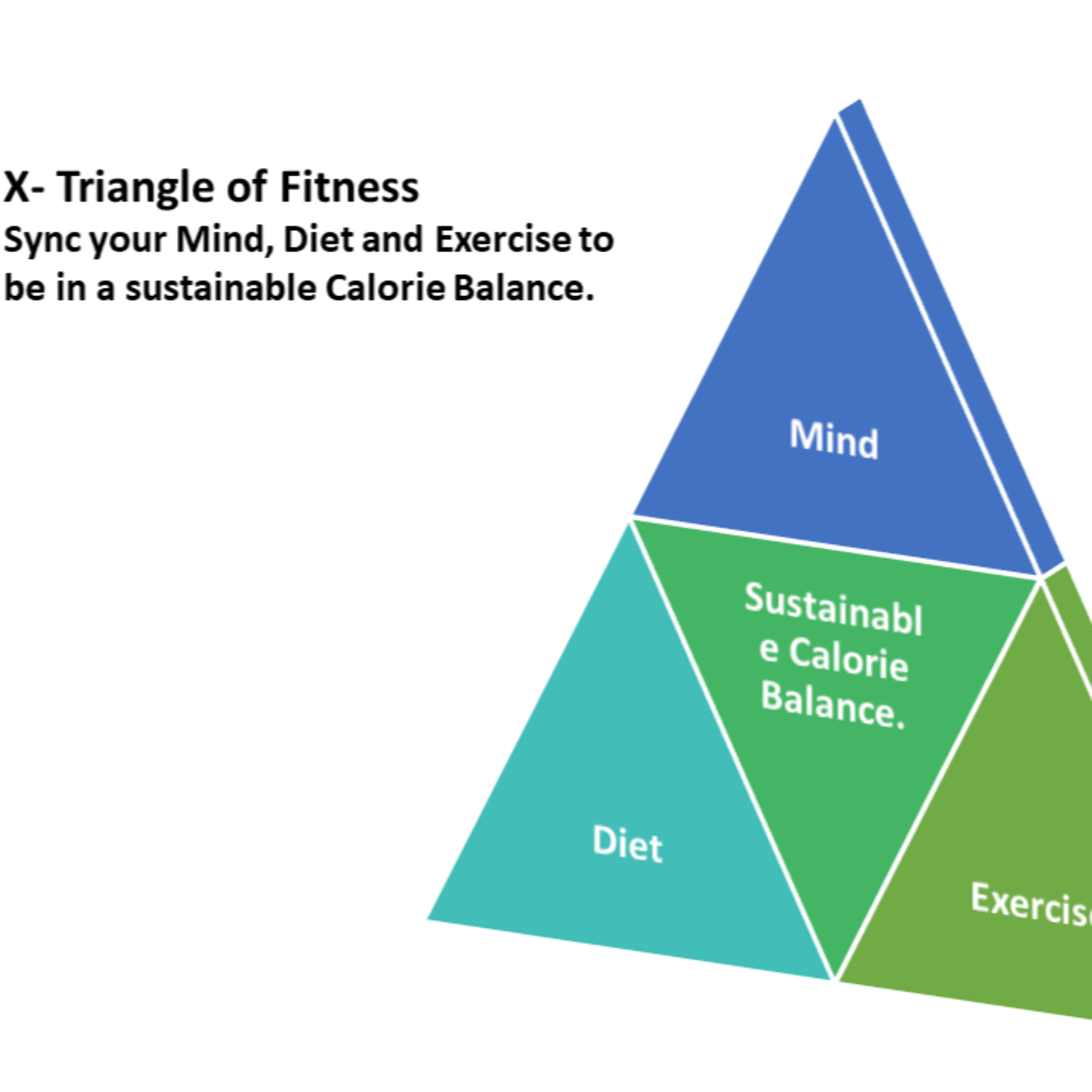 Lose Weight Smarter For Life - Chapter 6 ( Staying Fit ) episode artwork