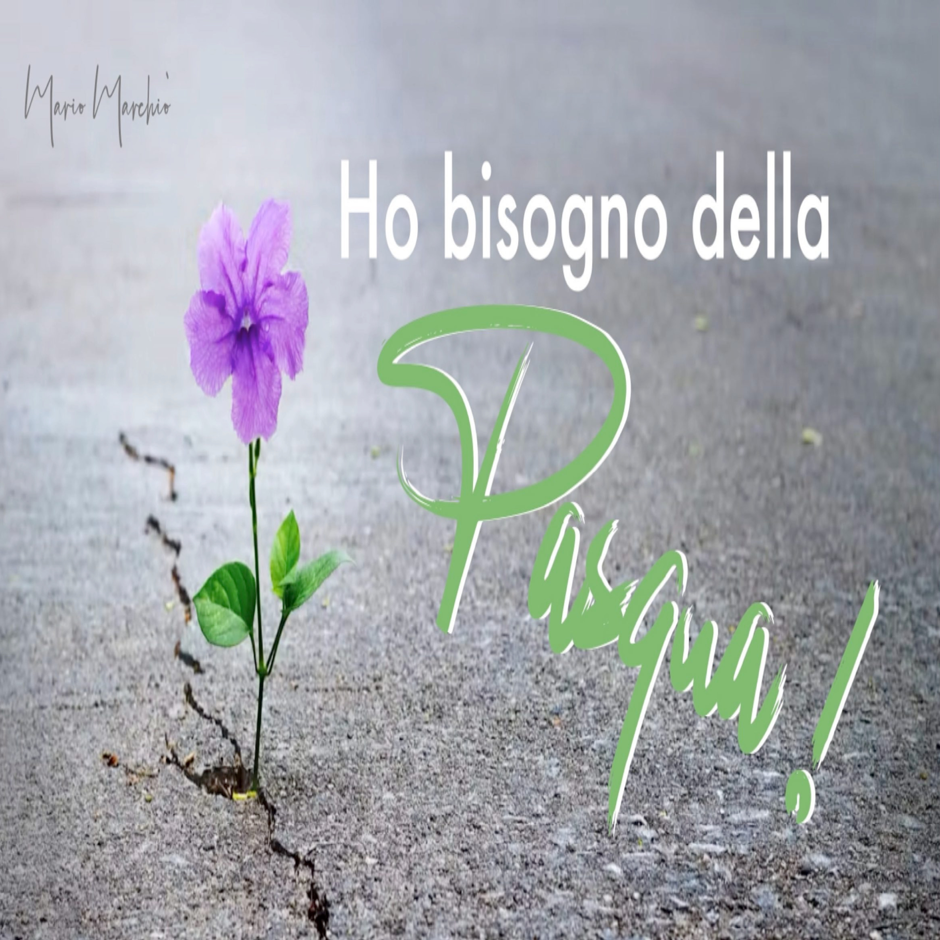 Semplicemente Grazia