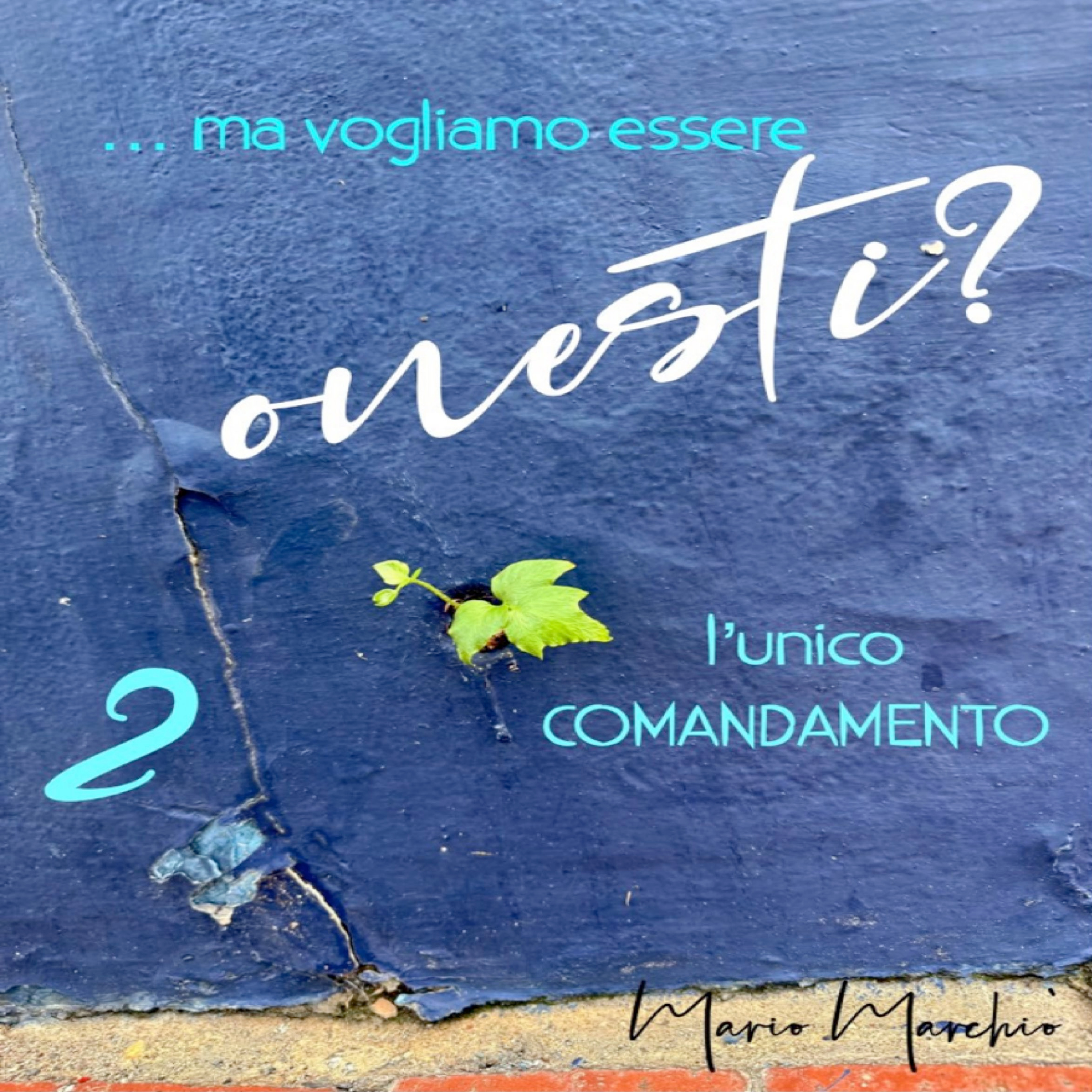 Semplicemente Grazia