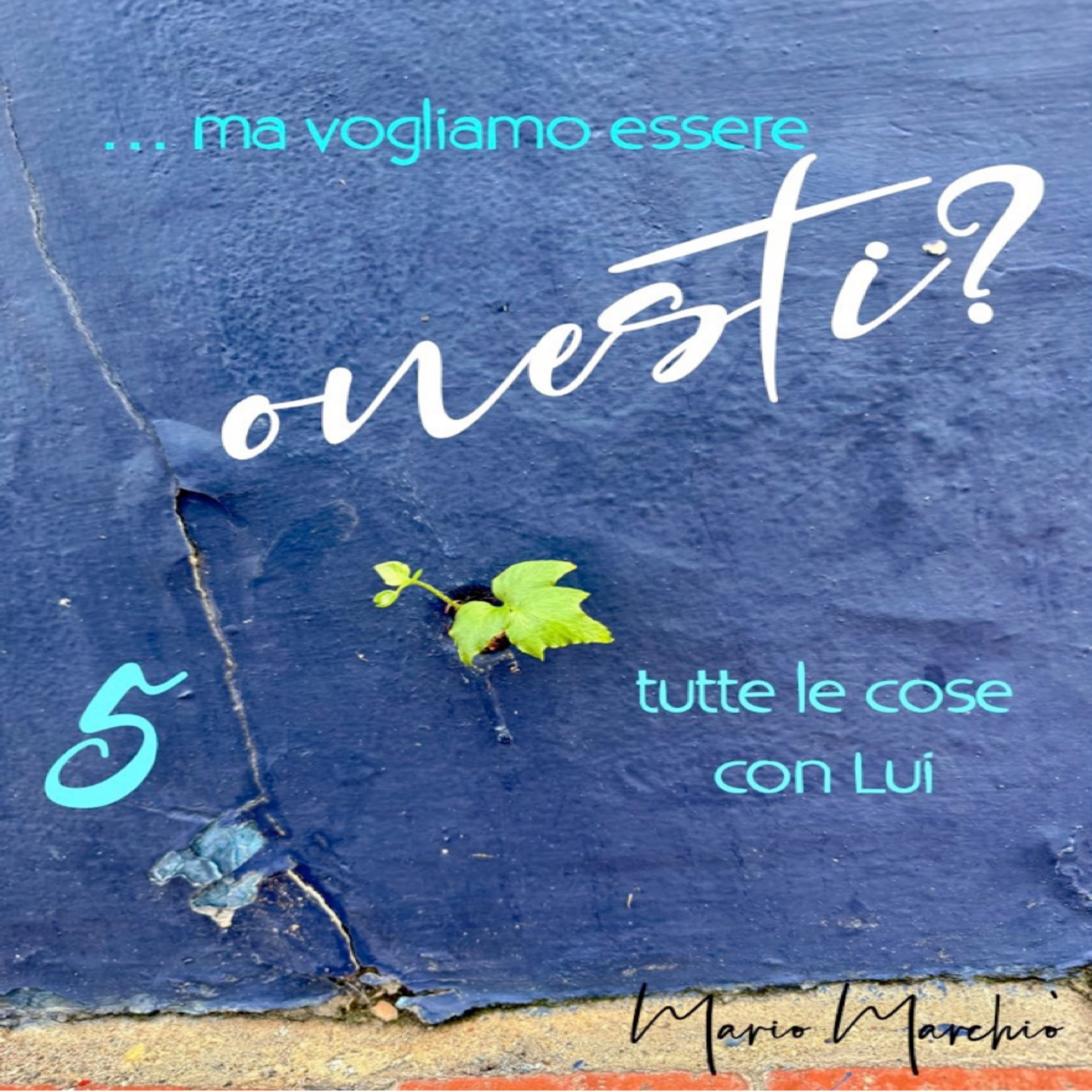 Semplicemente Grazia