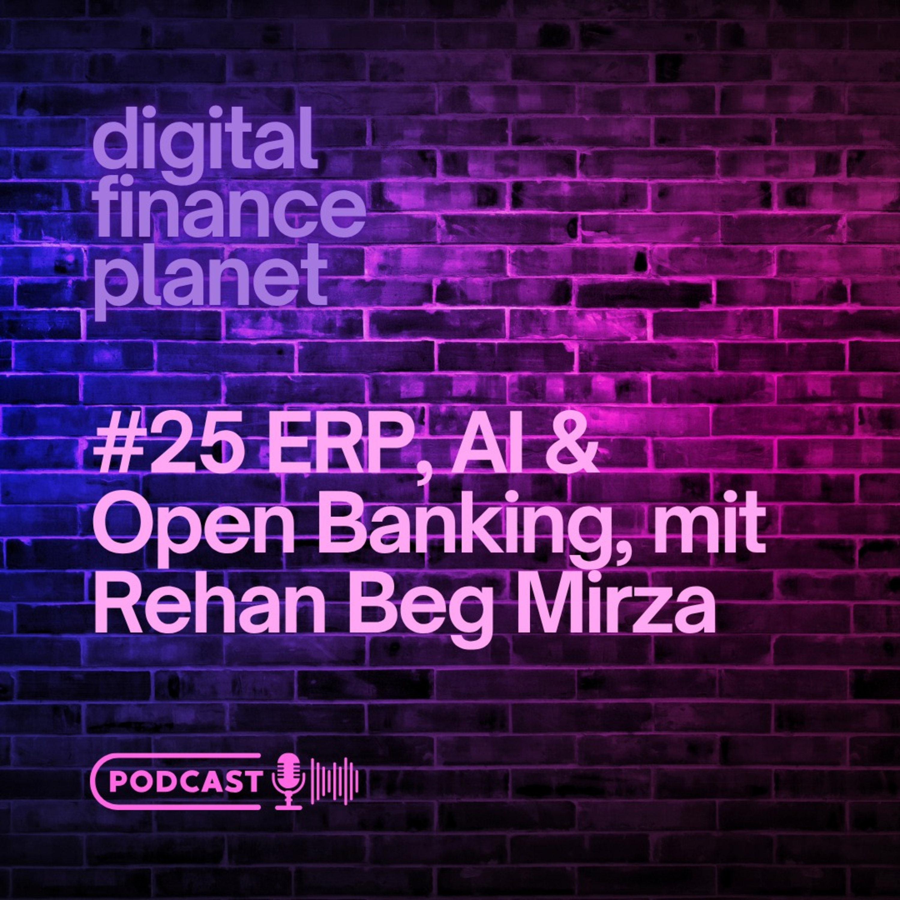 🤔 Wie funktioniert Business-Software in der Zukunft? (mit Rehan Beg Mirza) episode artwork