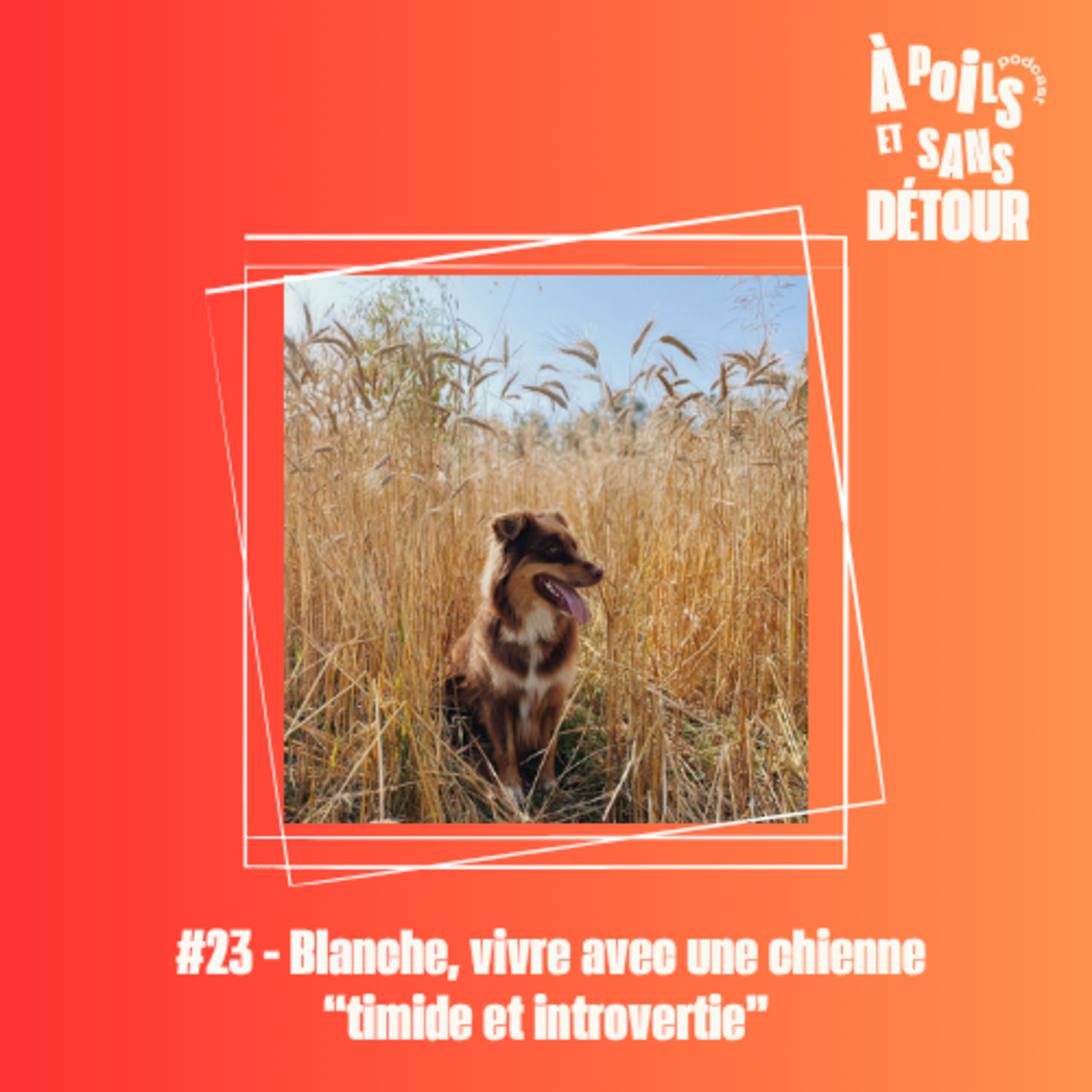 À poils et sans détour