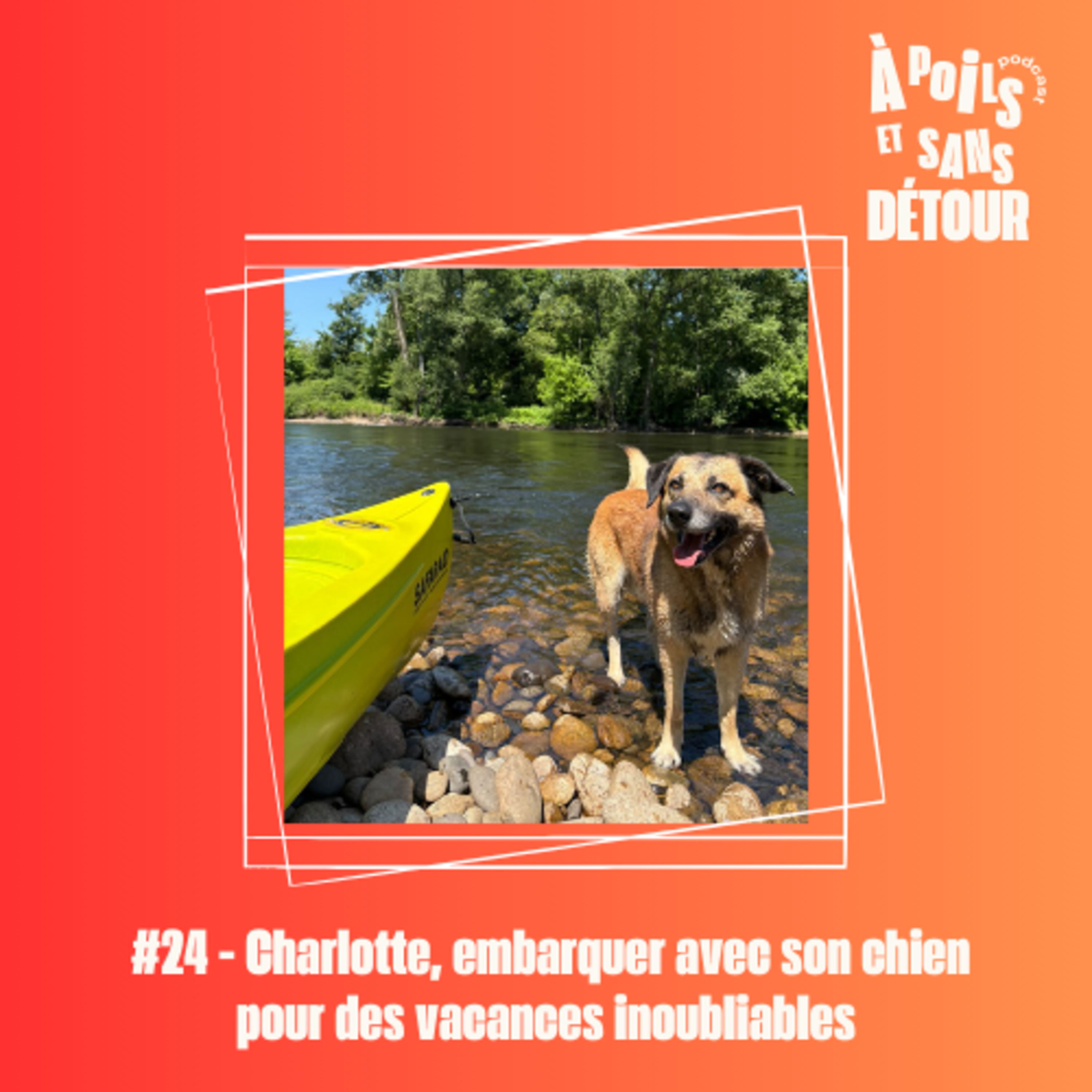 À poils et sans détour