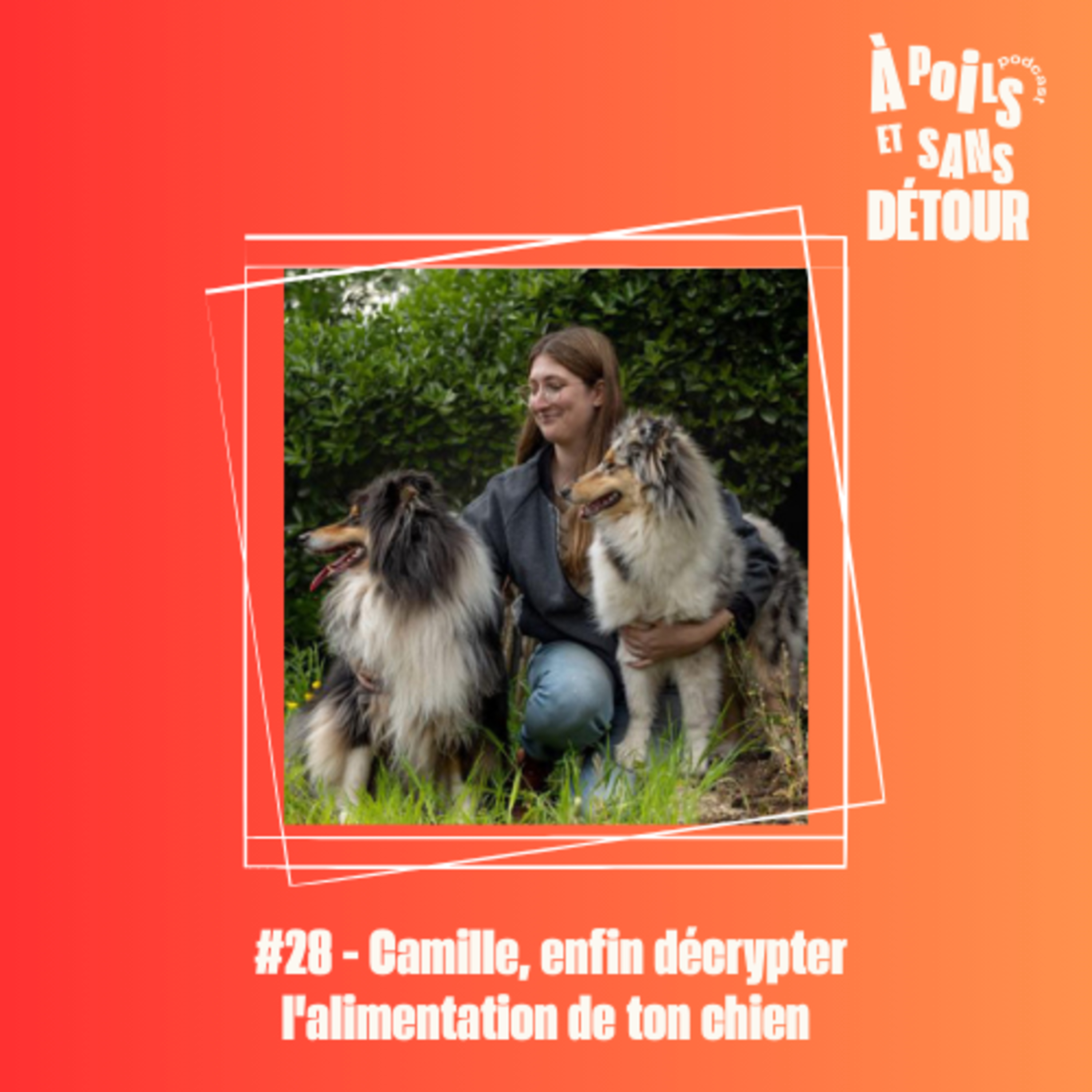 À poils et sans détour