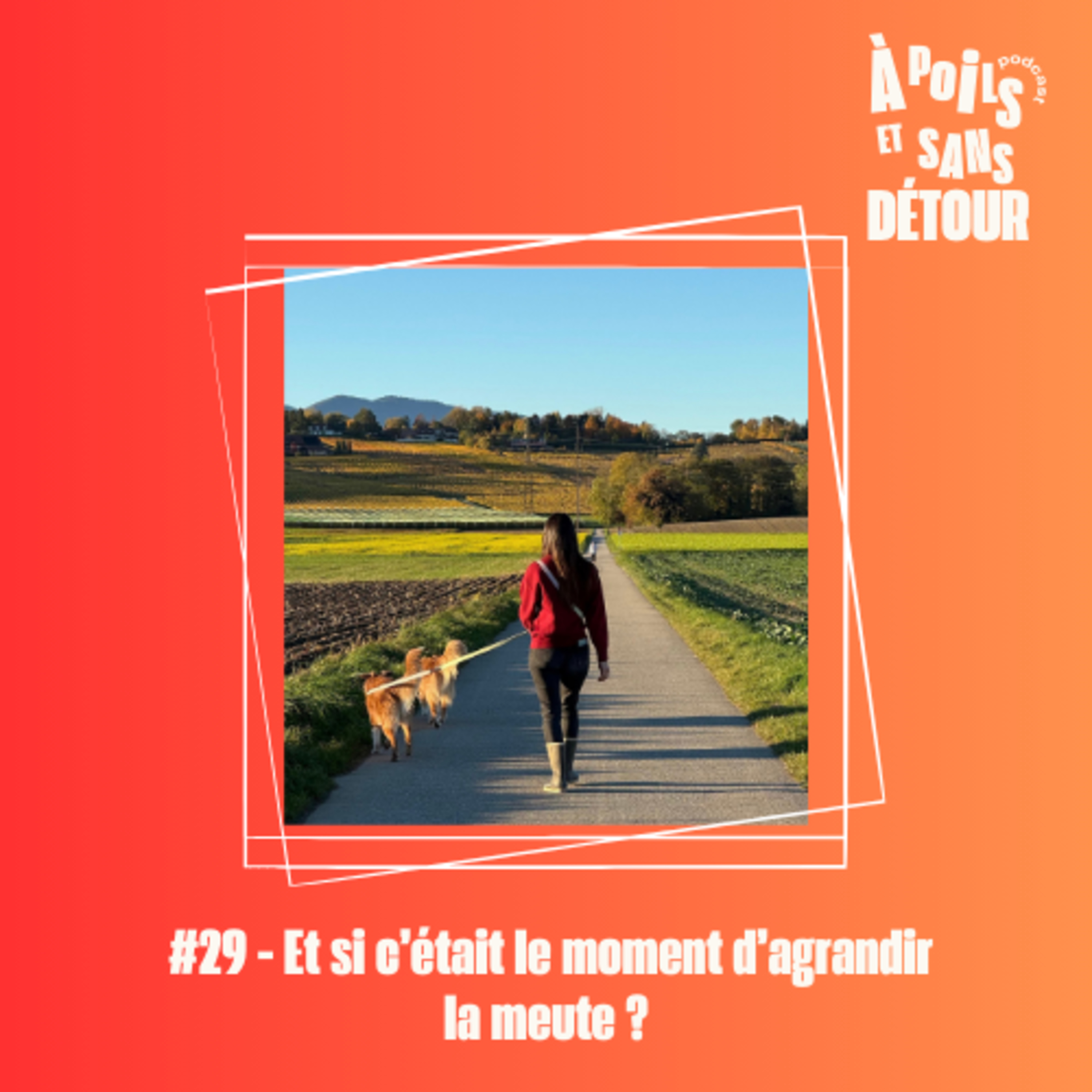 À poils et sans détour