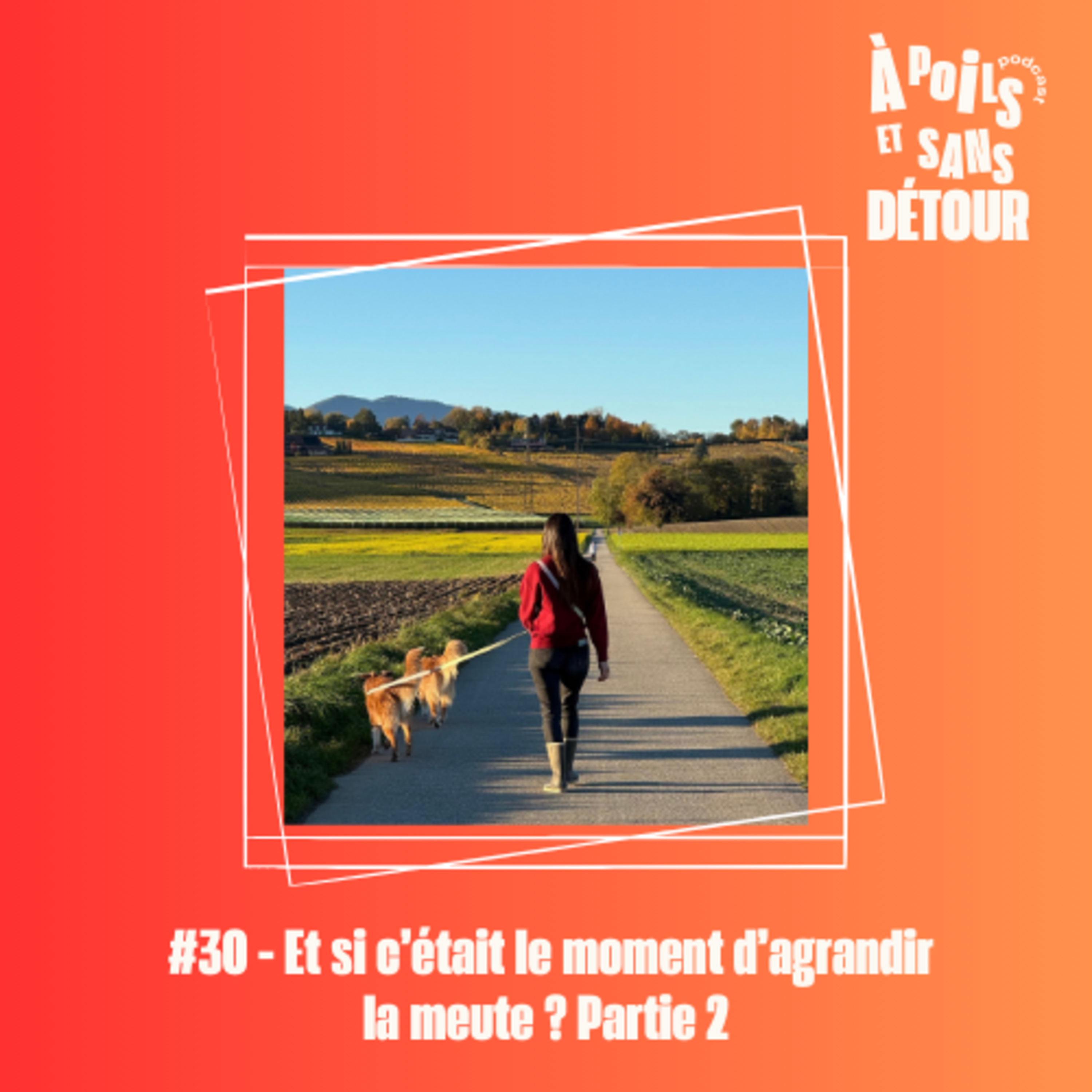 À poils et sans détour