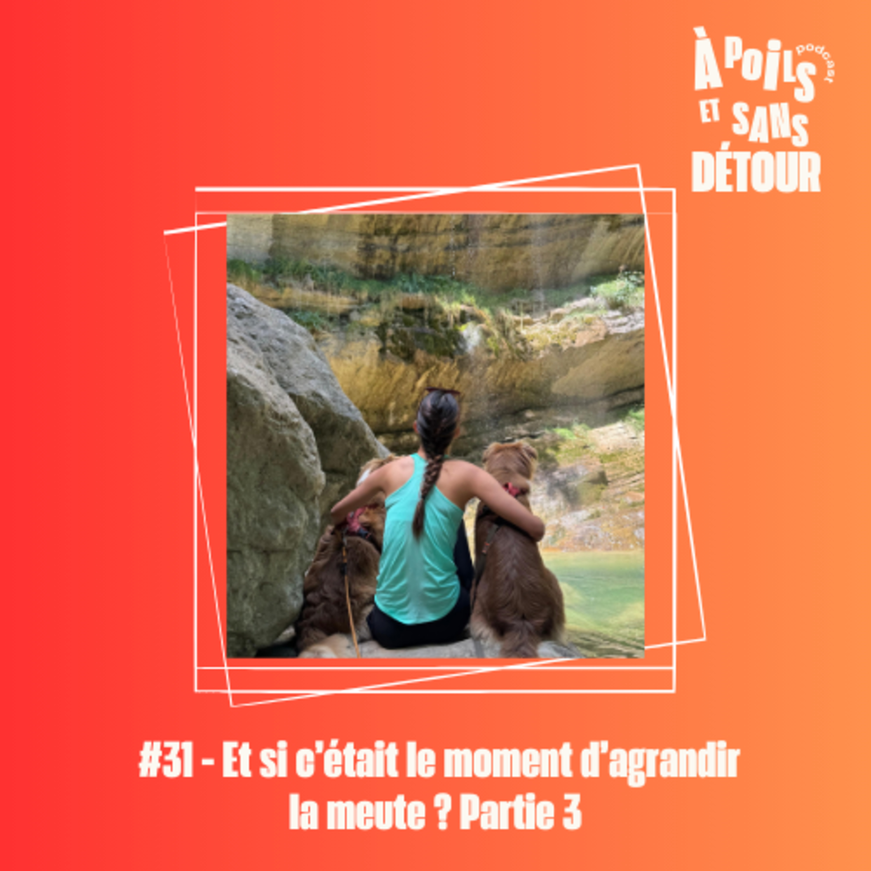 À poils et sans détour